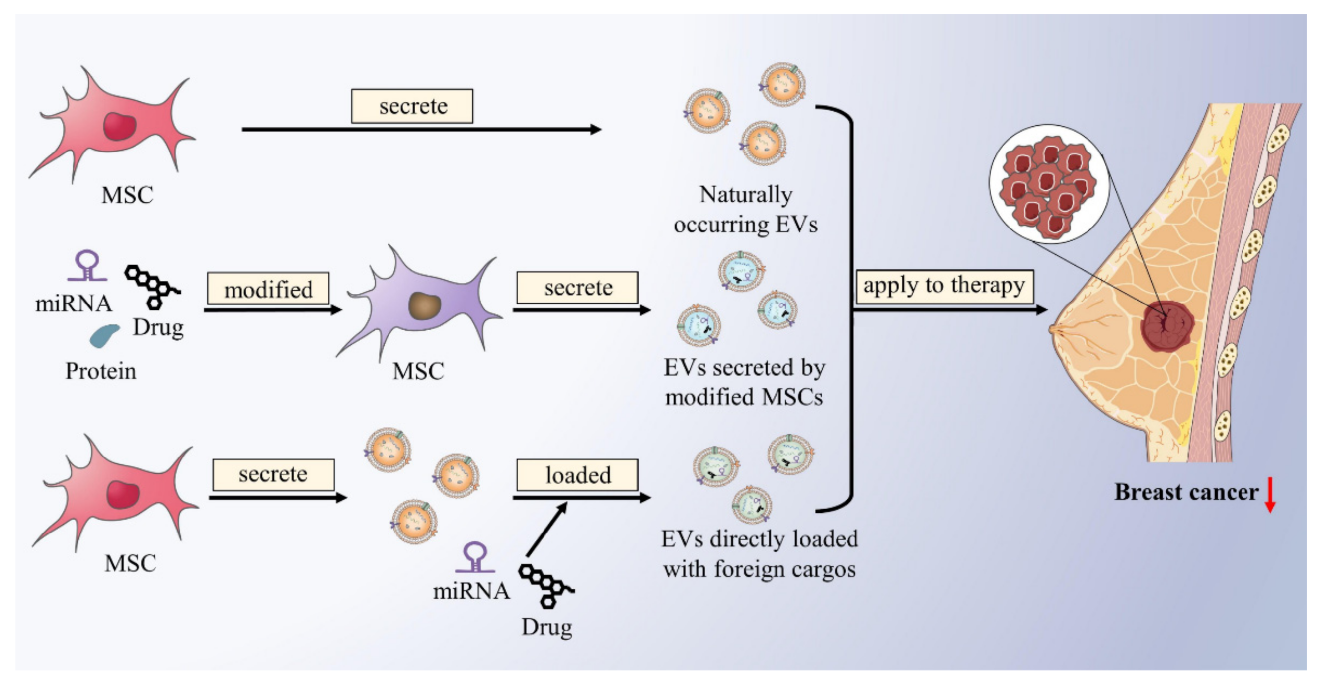 Ijms 23 02927 g003 550