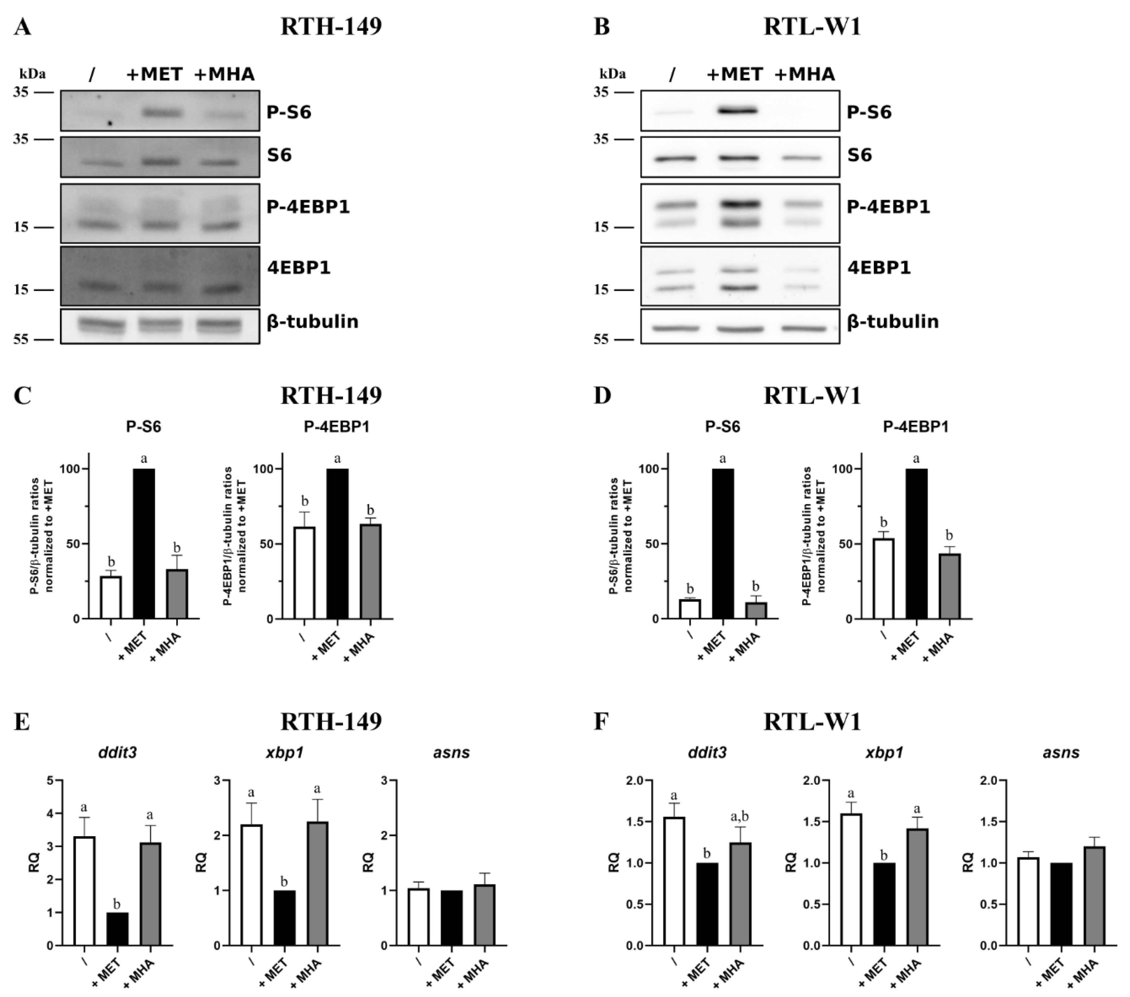Ijms 23 02935 g002 550