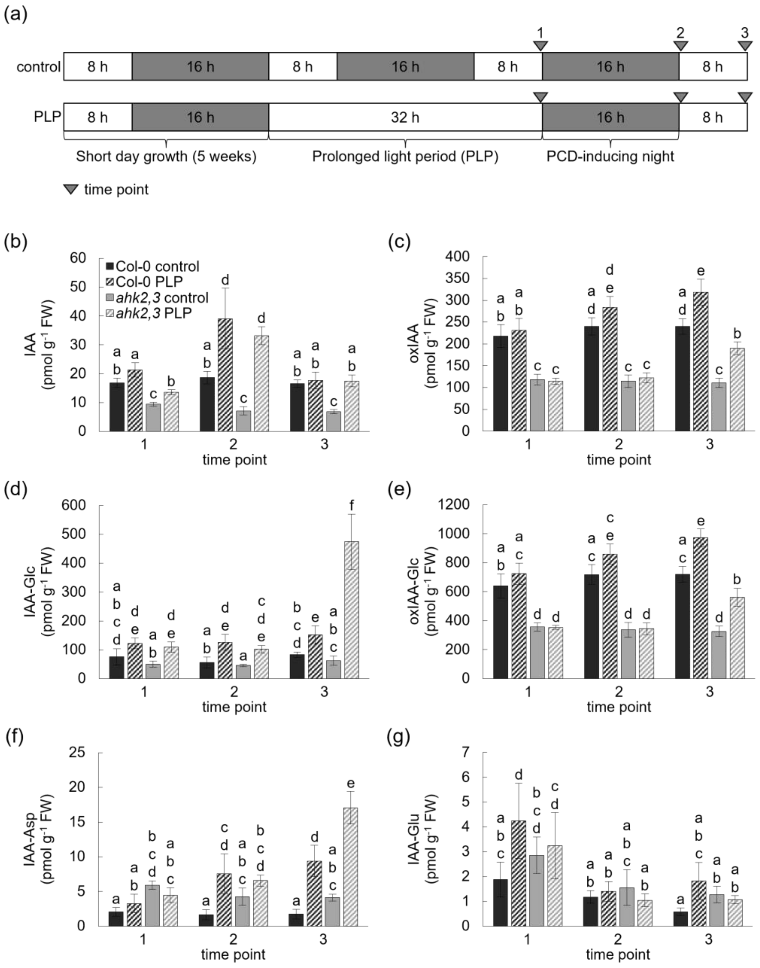 Ijms 23 02936 g003 550