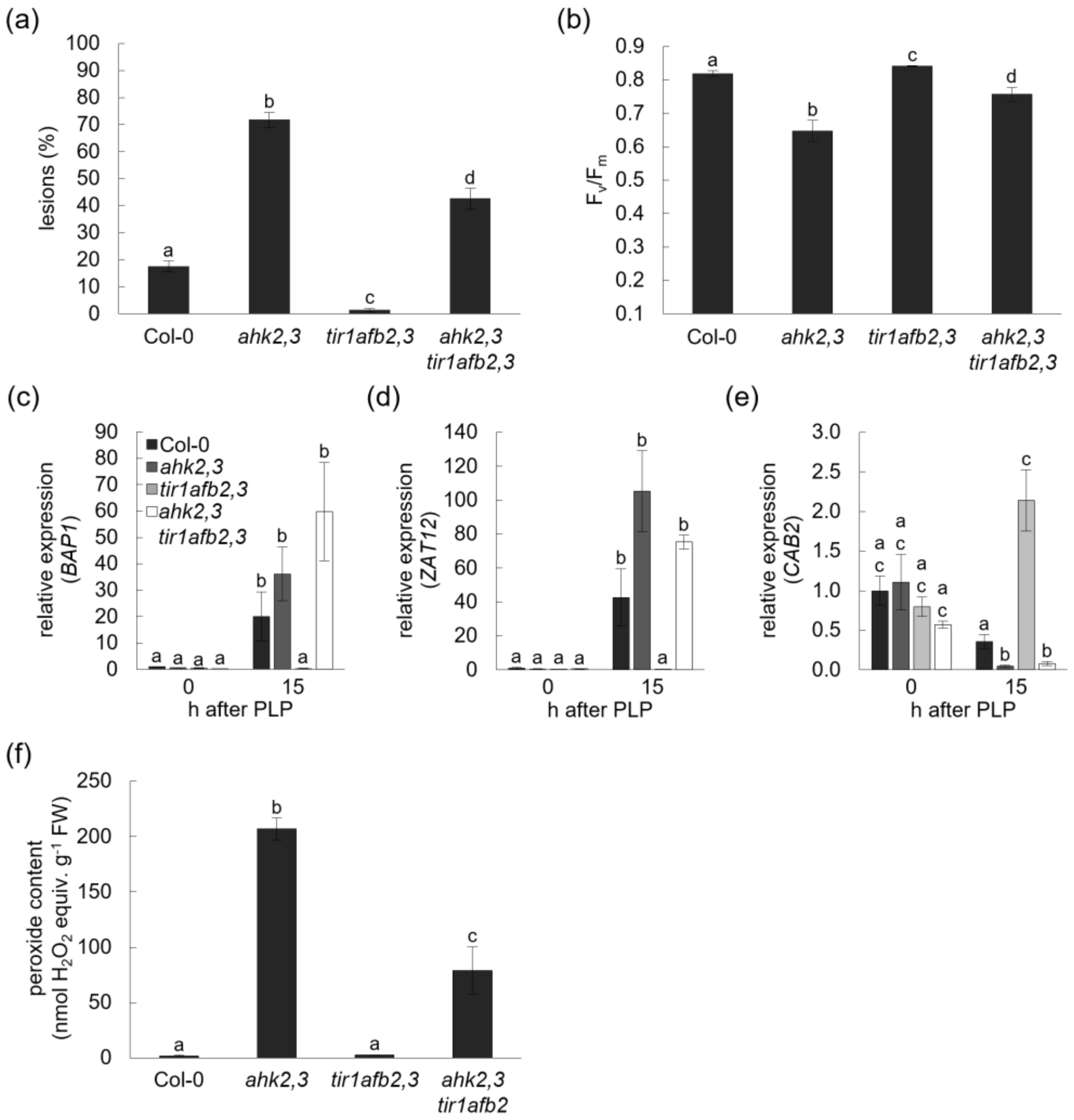 Ijms 23 02936 g005 550
