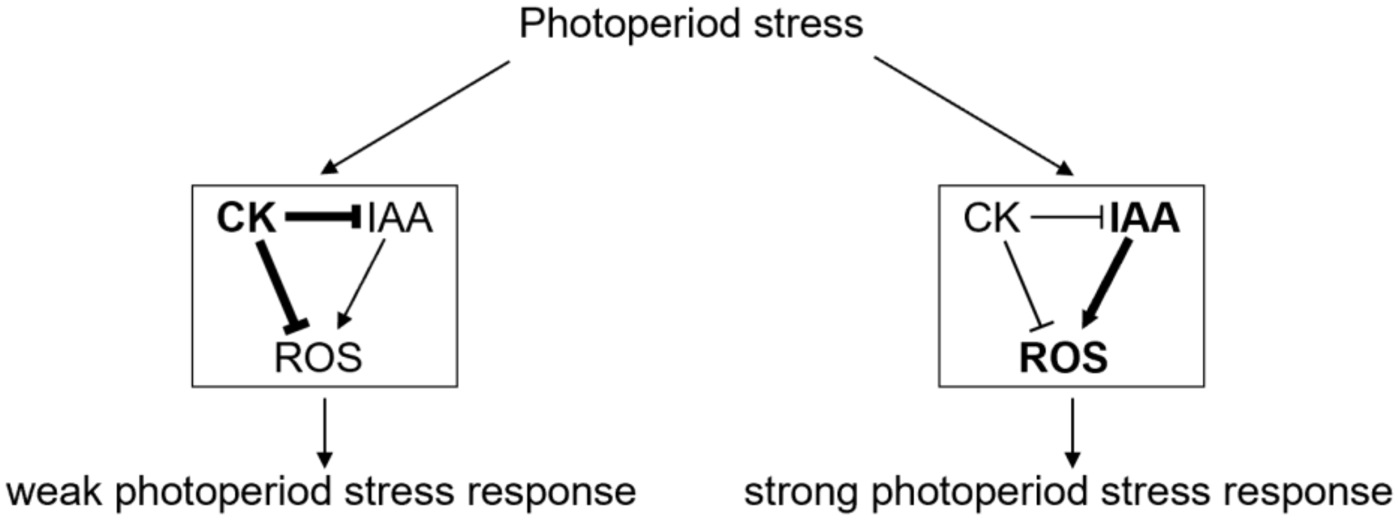 Ijms 23 02936 g006 550