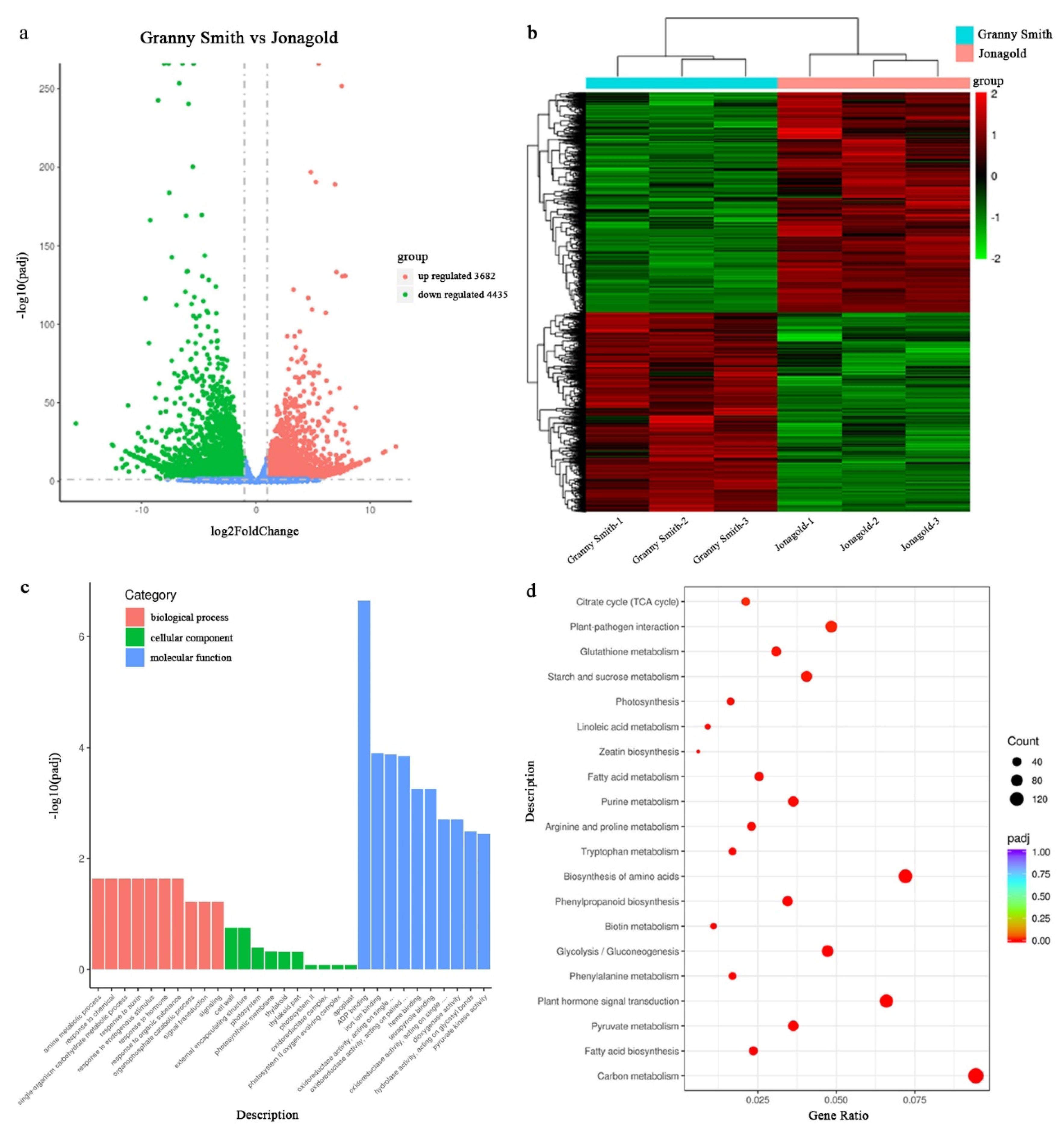 Ijms 23 02939 g003 550