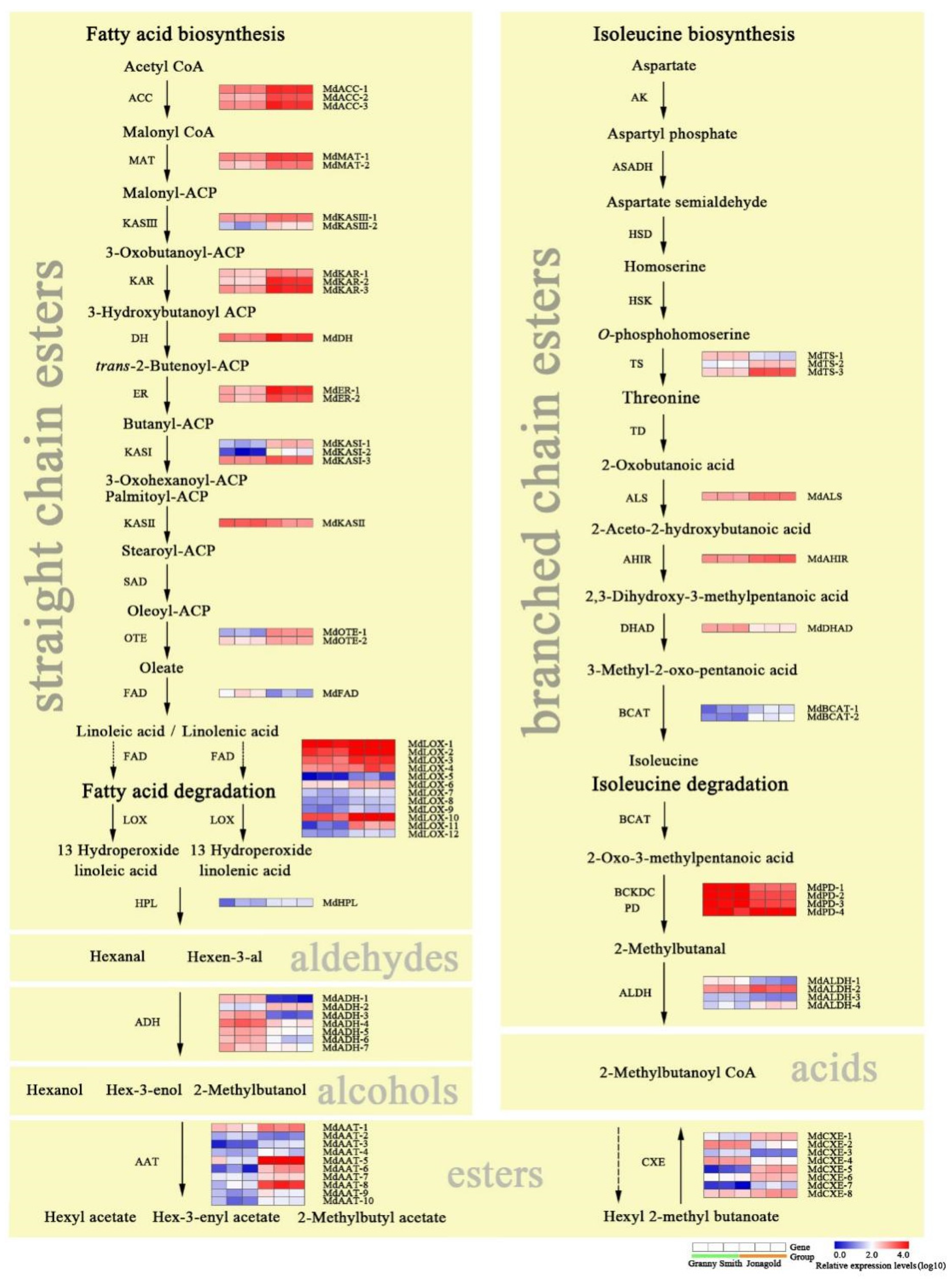 Ijms 23 02939 g004 550