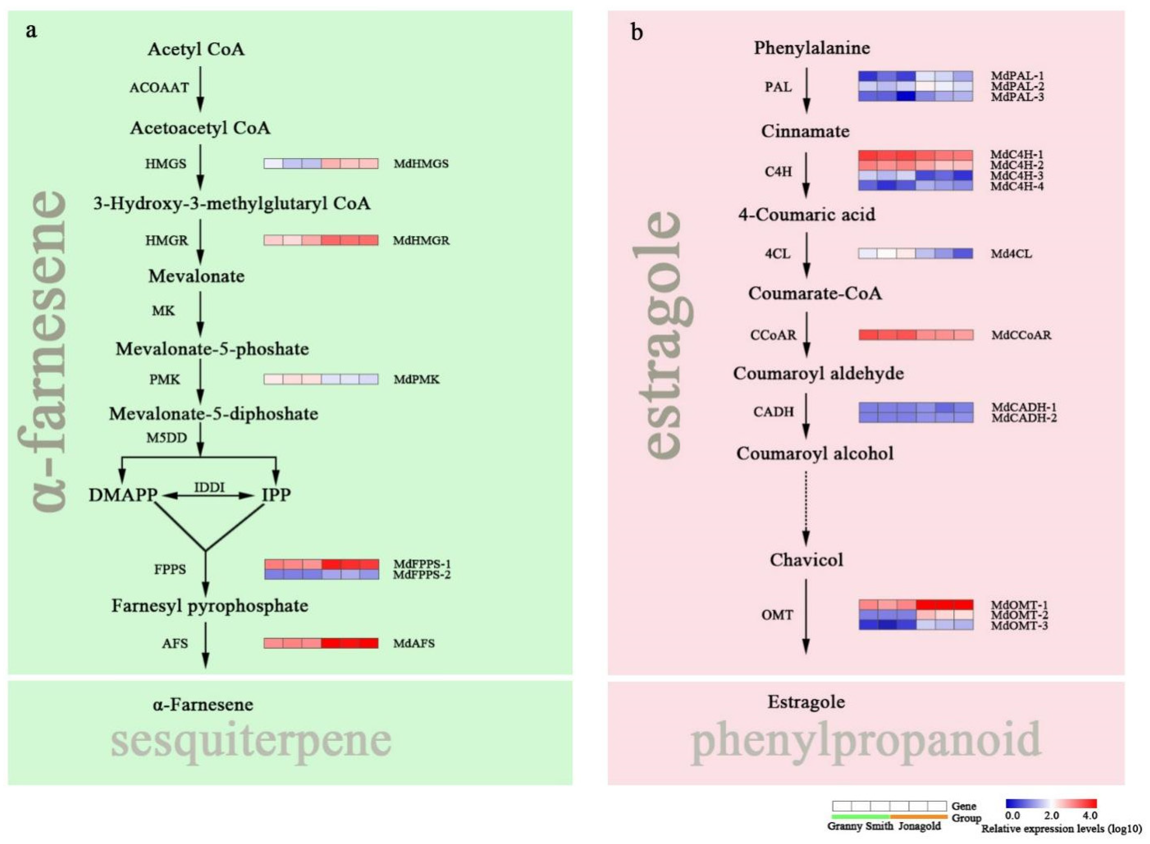 Ijms 23 02939 g005 550