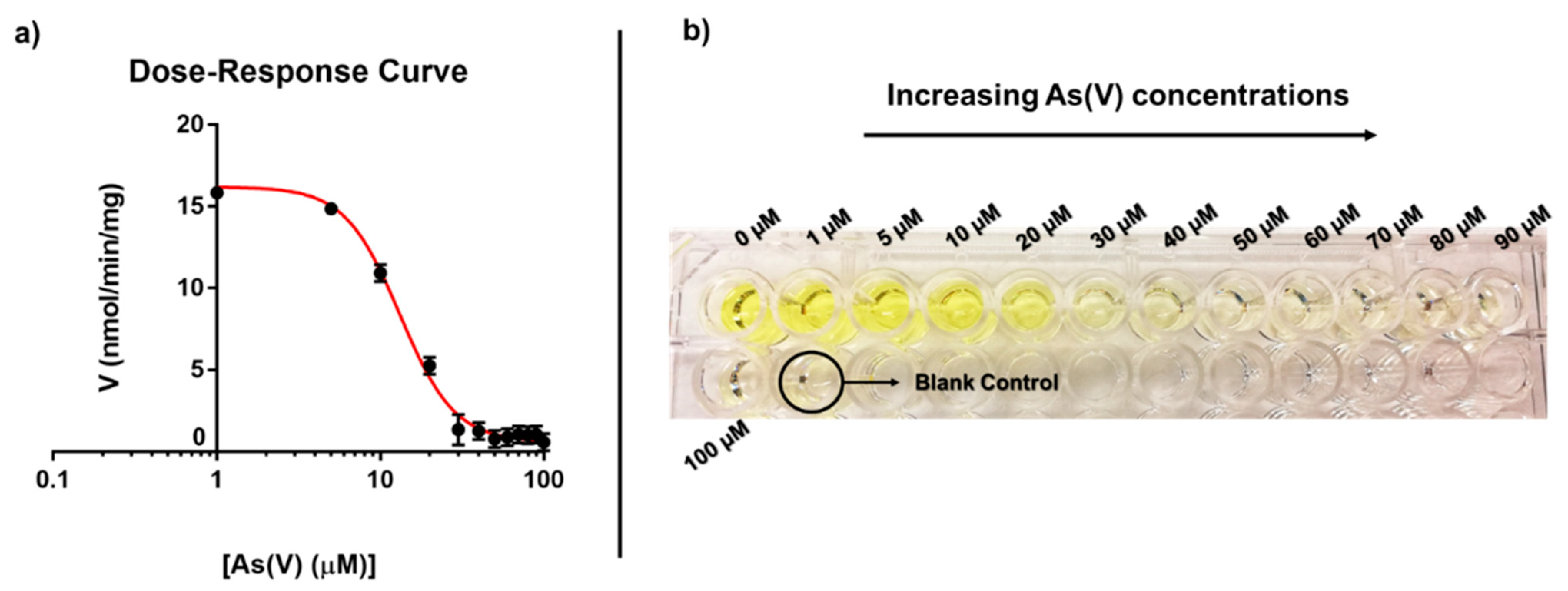 Ijms 23 02942 g002 550
