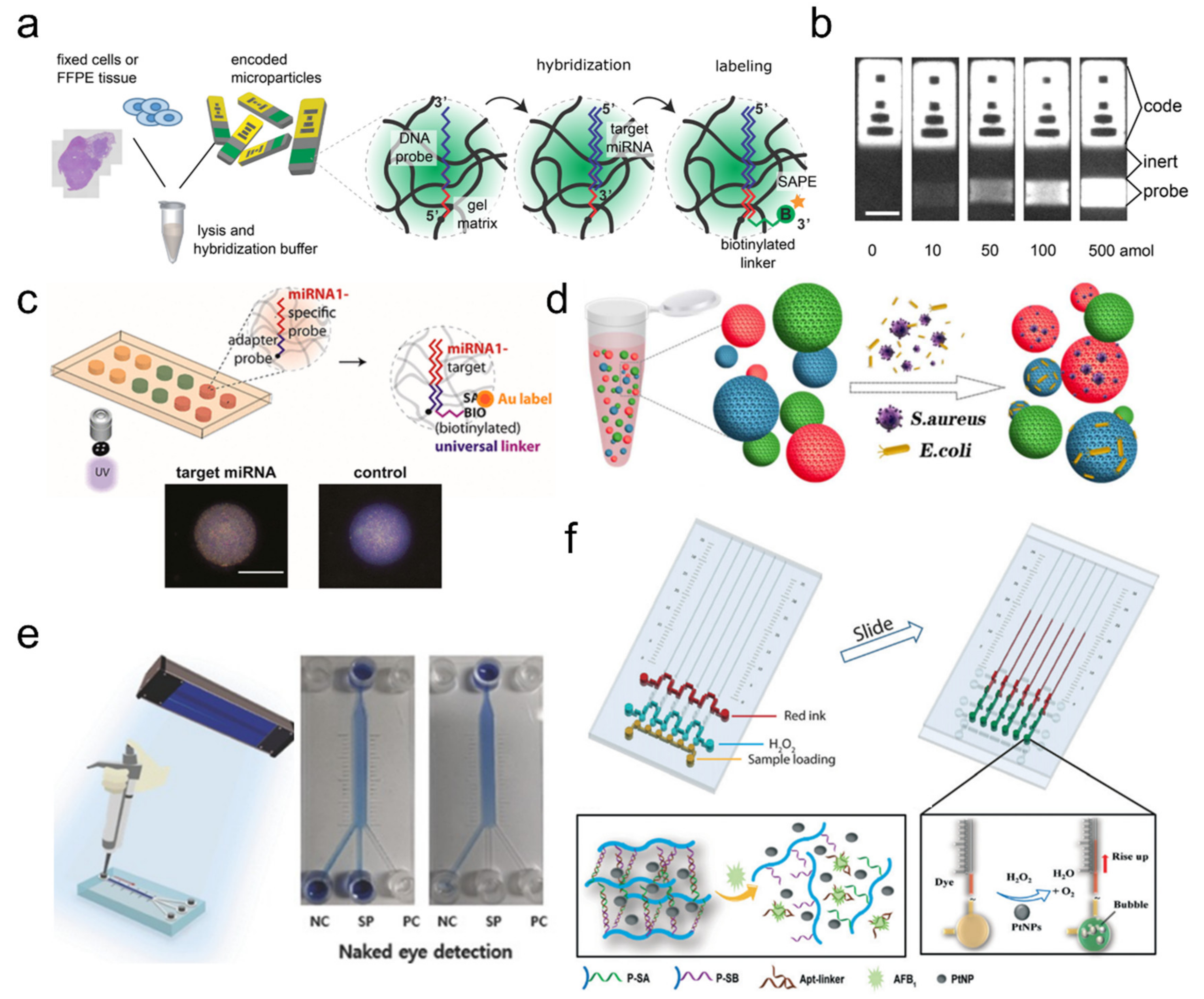 Ijms 23 02955 g002 550