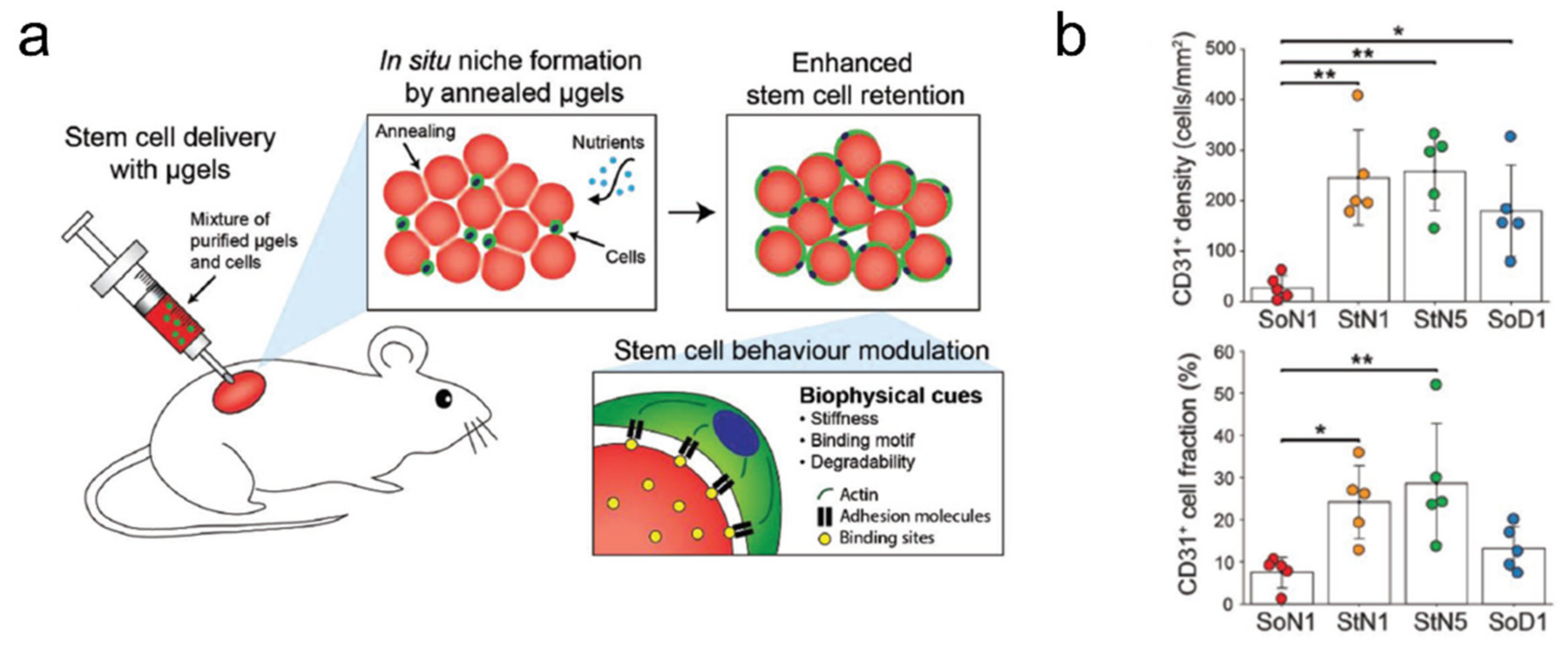 Ijms 23 02955 g006 550