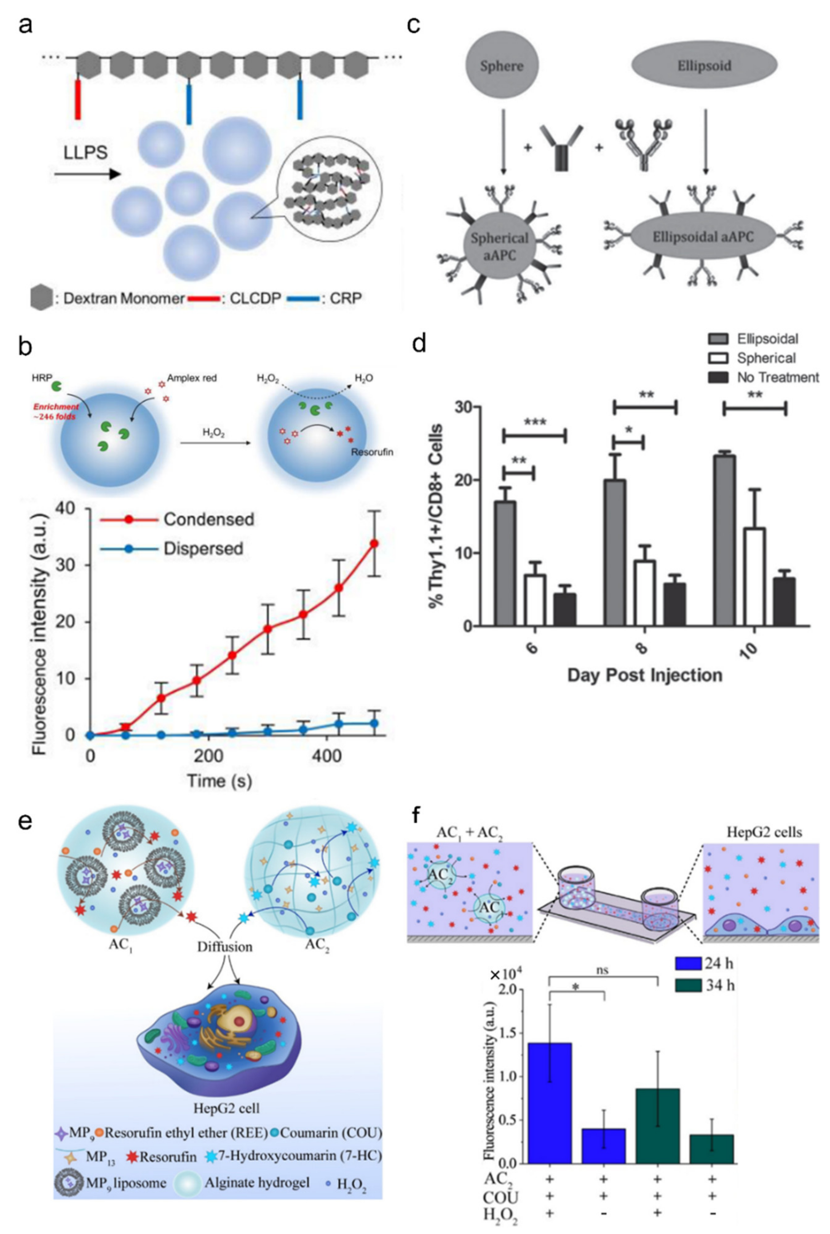 Ijms 23 02955 g007 550