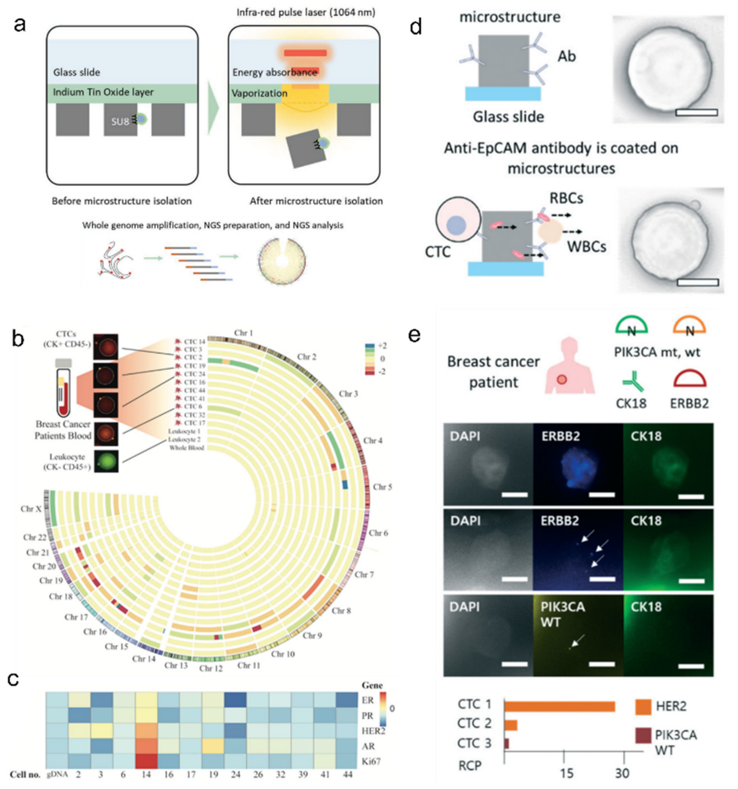 Ijms 23 02955 g008 550