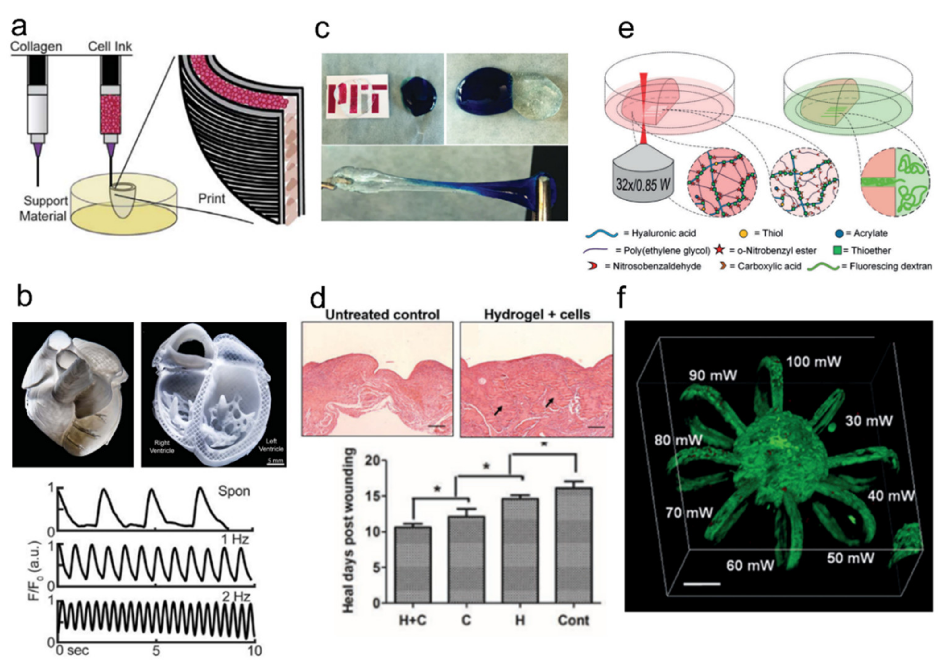 Ijms 23 02955 g009 550