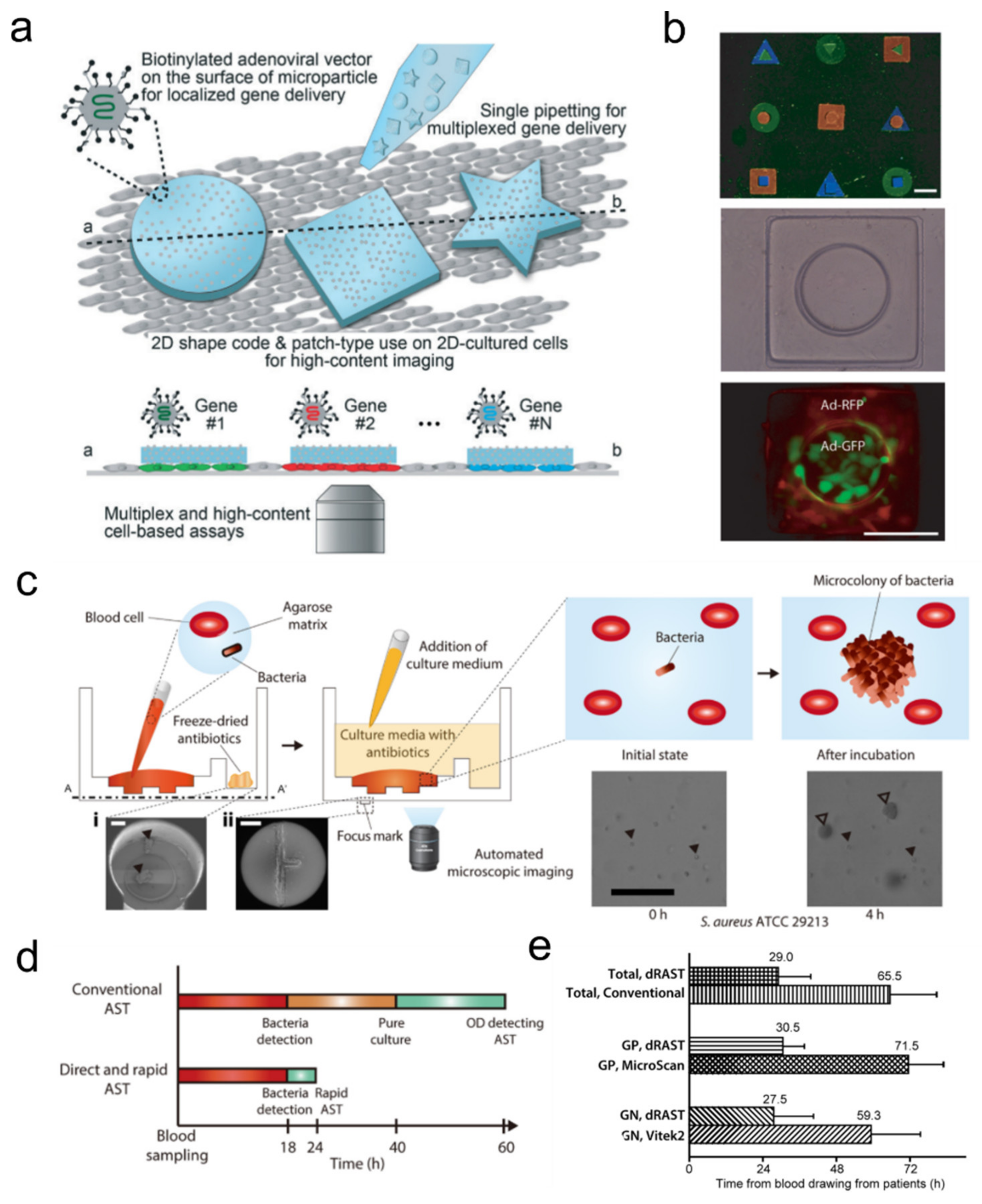 Ijms 23 02955 g011 550