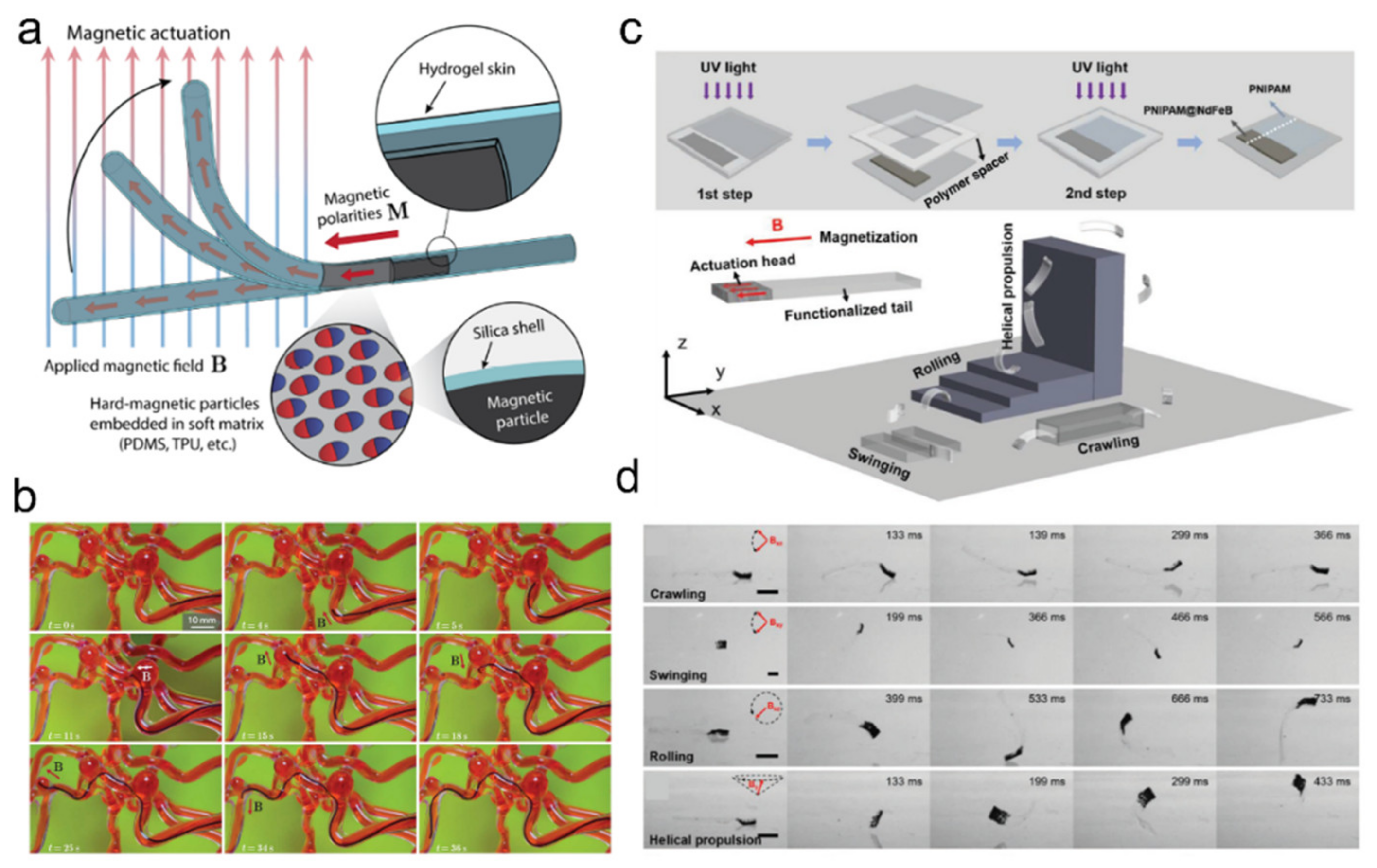 Ijms 23 02955 g013 550