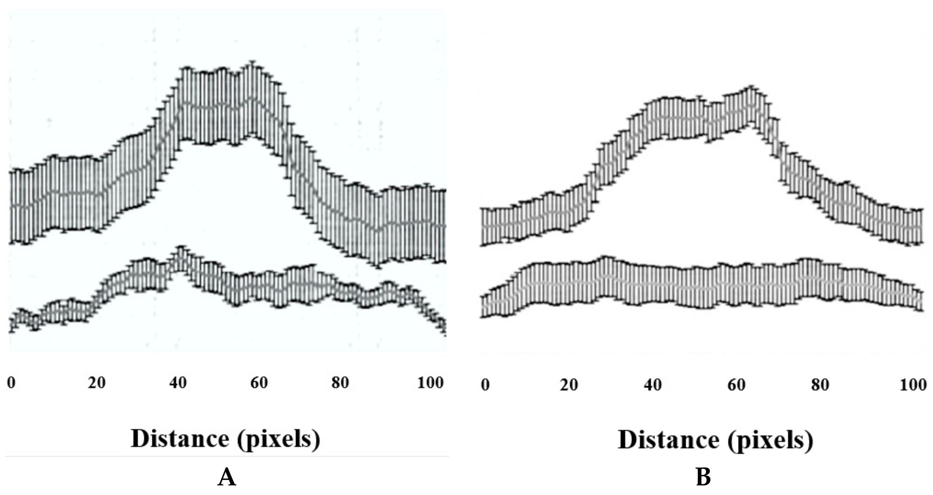 Ijms 23 02957 g005a 550