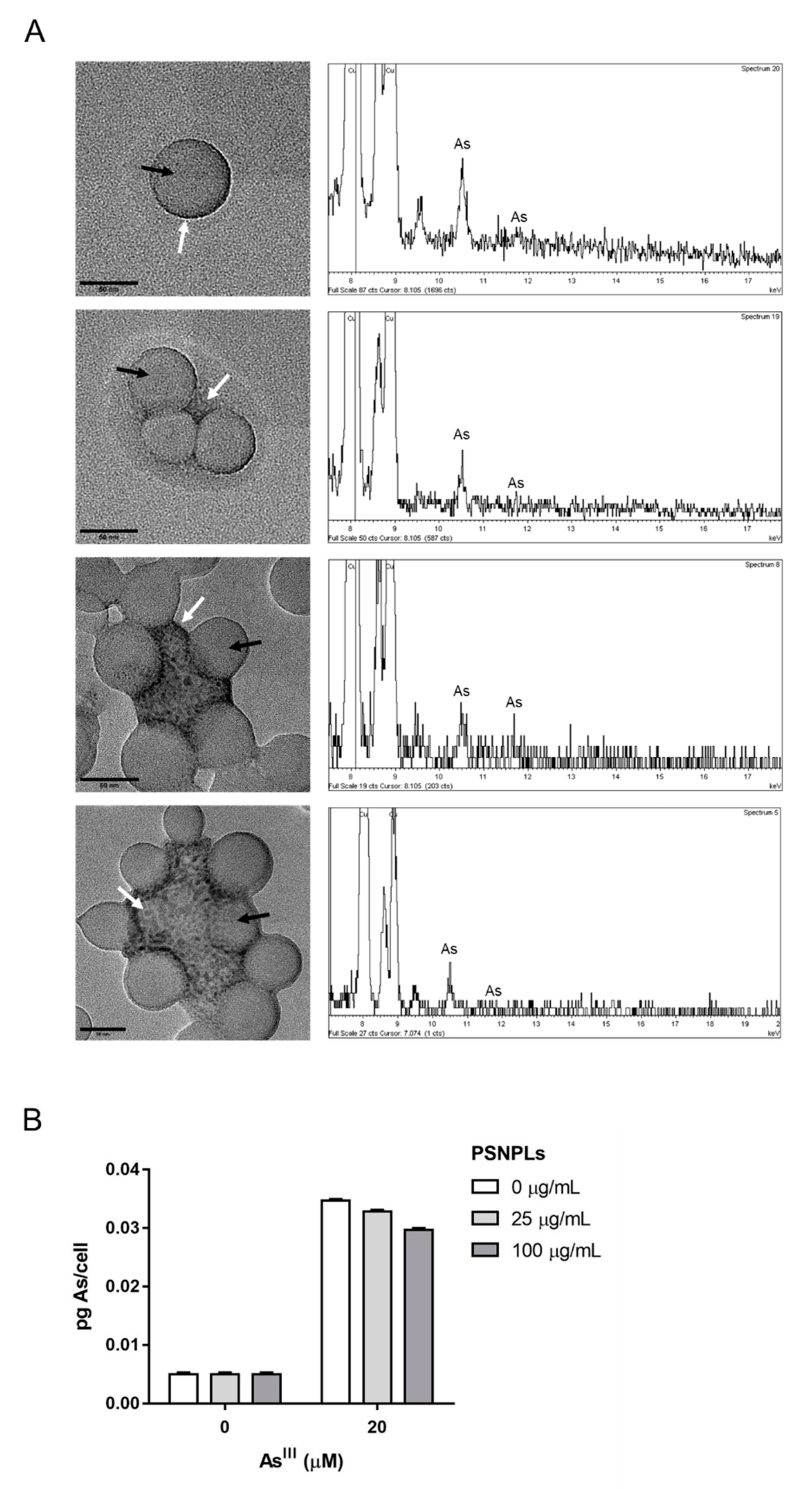 Ijms 23 02958 g003 550