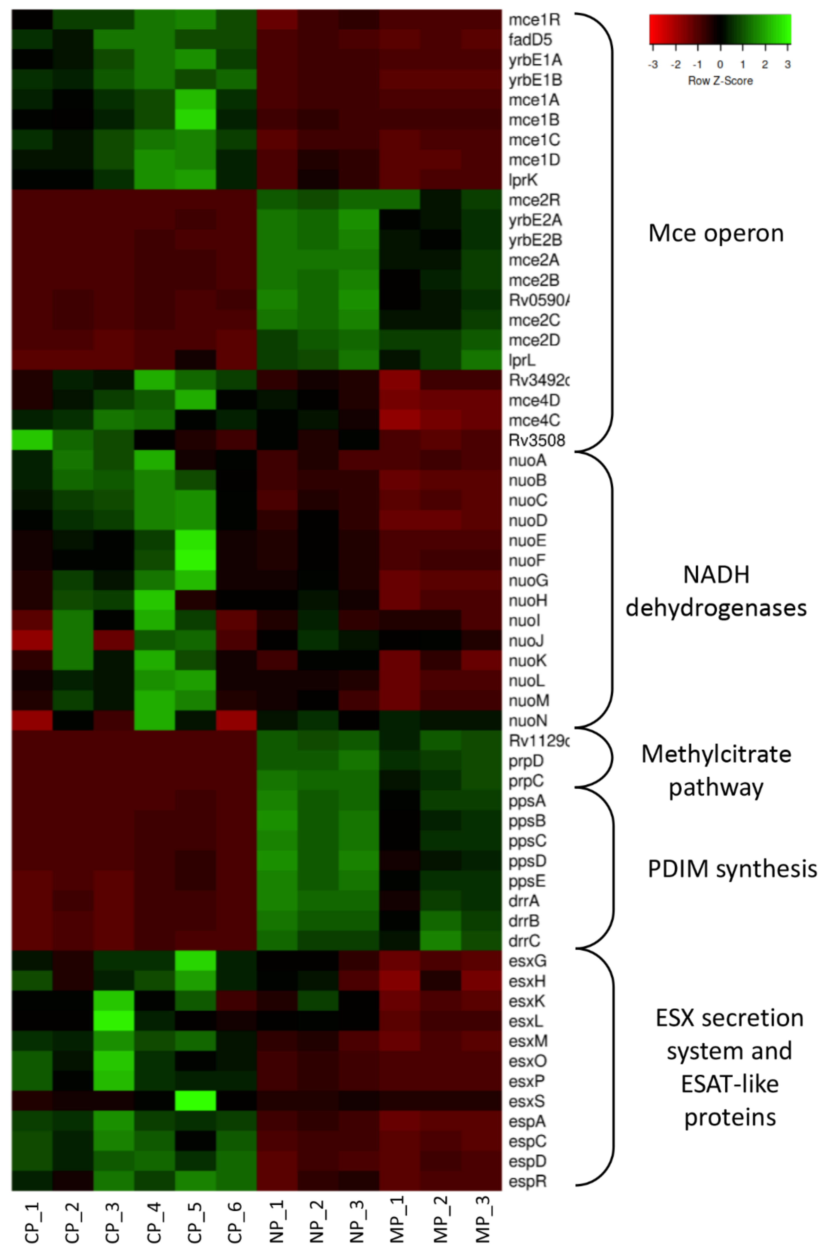 Ijms 23 02961 g001 Ijms 23 02961 g001