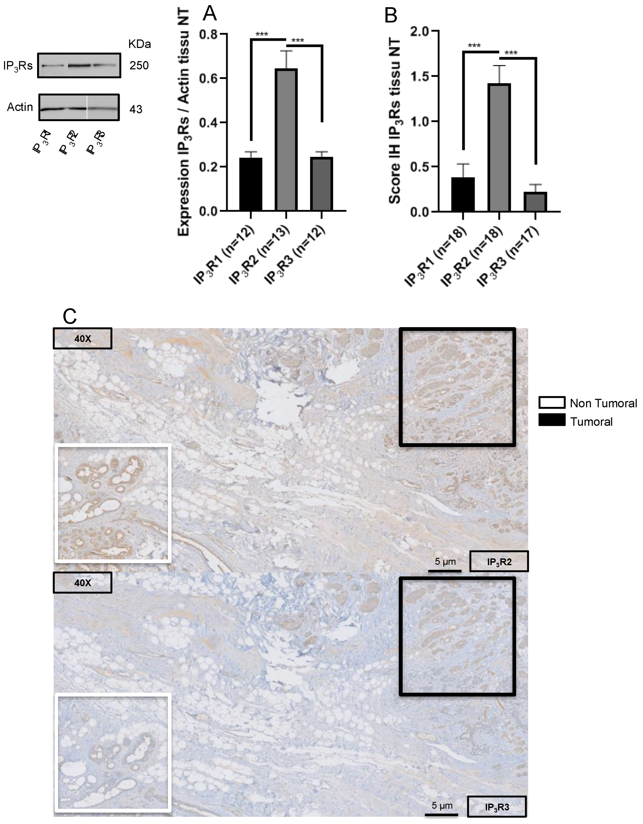 Ijms 23 02962 g006 550