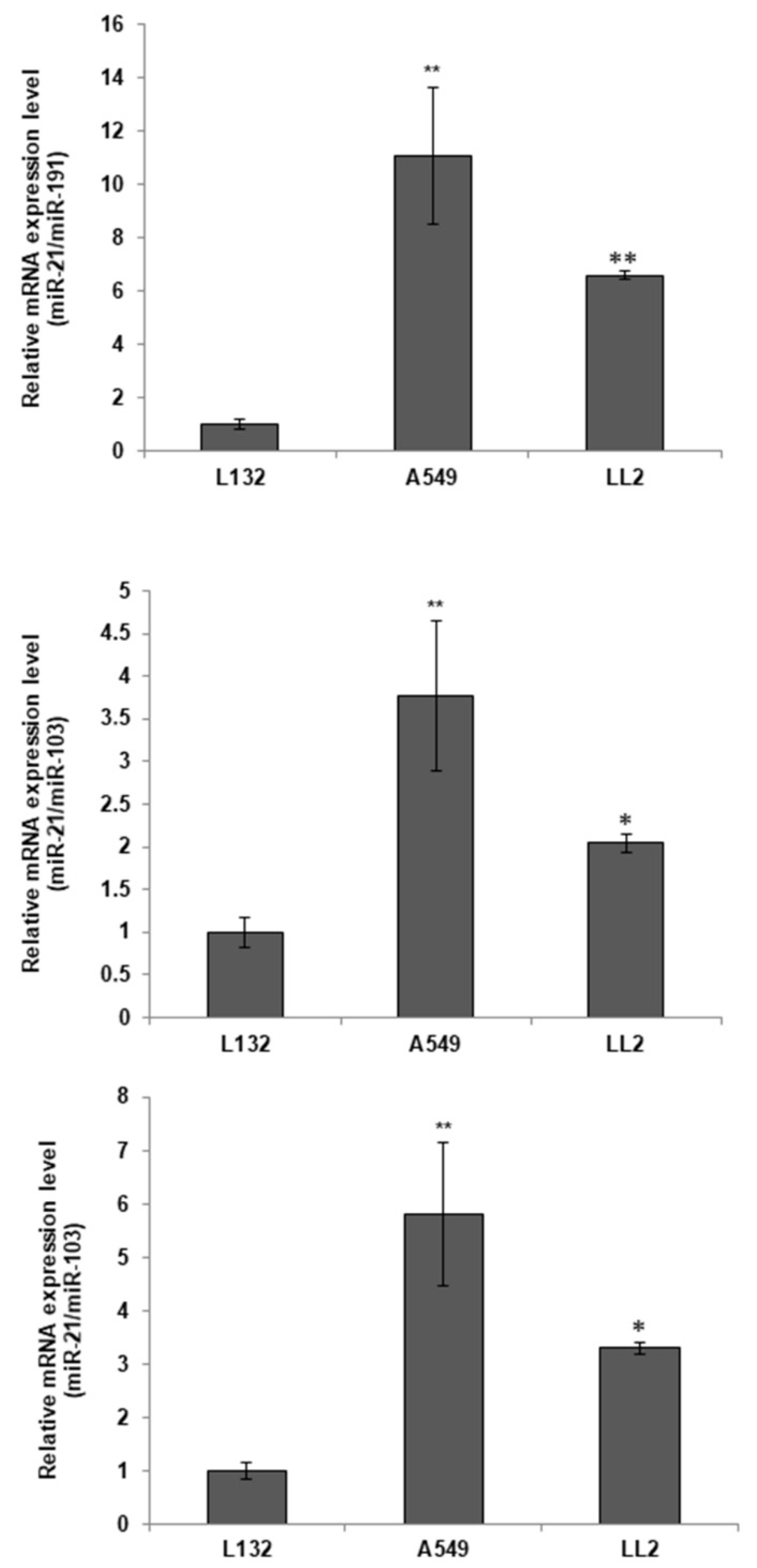 Ijms 23 02963 g001 Ijms 23 02963 g001