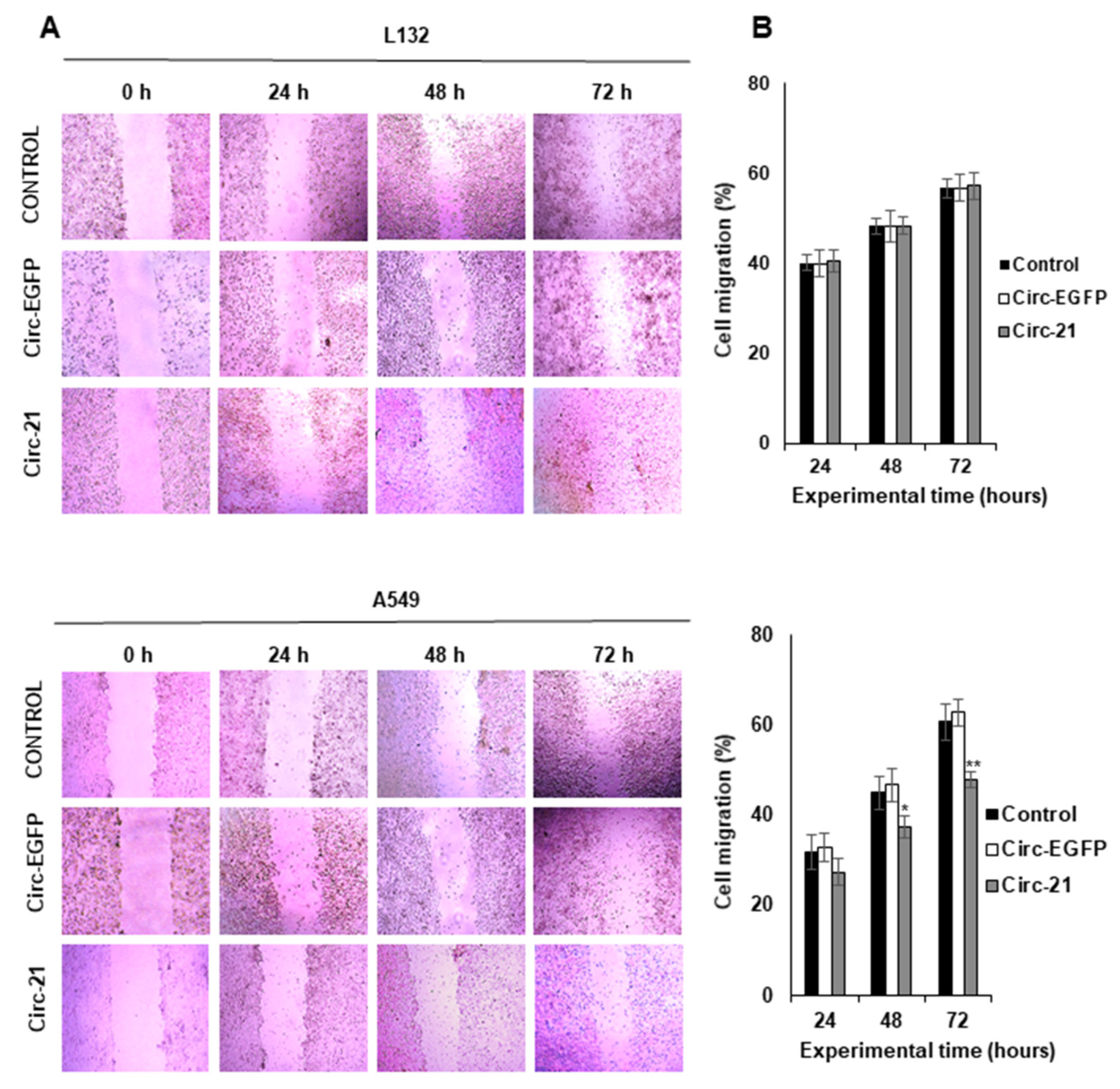 Ijms 23 02963 g005 Ijms 23 02963 g005