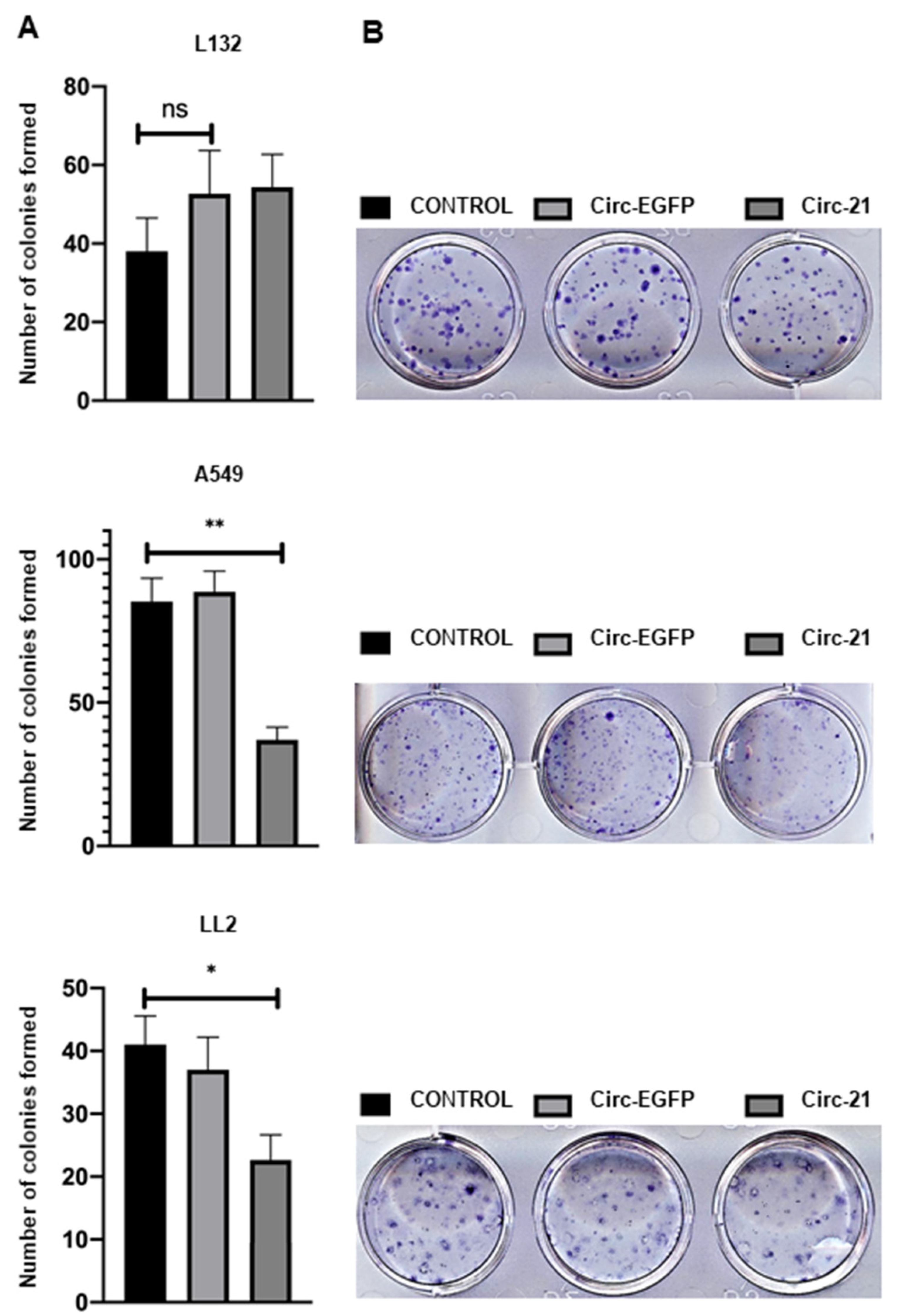 Ijms 23 02963 g006 Ijms 23 02963 g006
