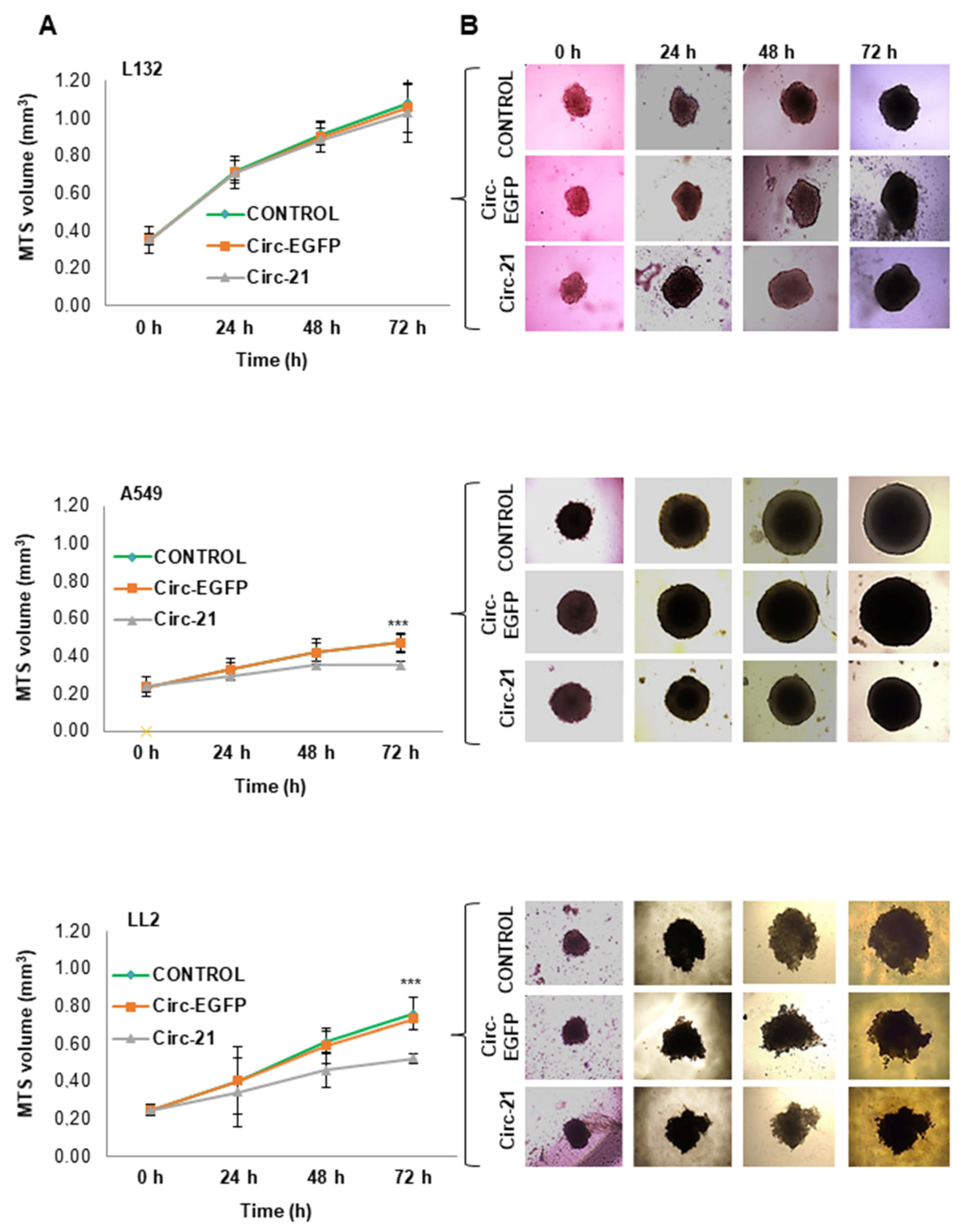 Ijms 23 02963 g007 Ijms 23 02963 g007