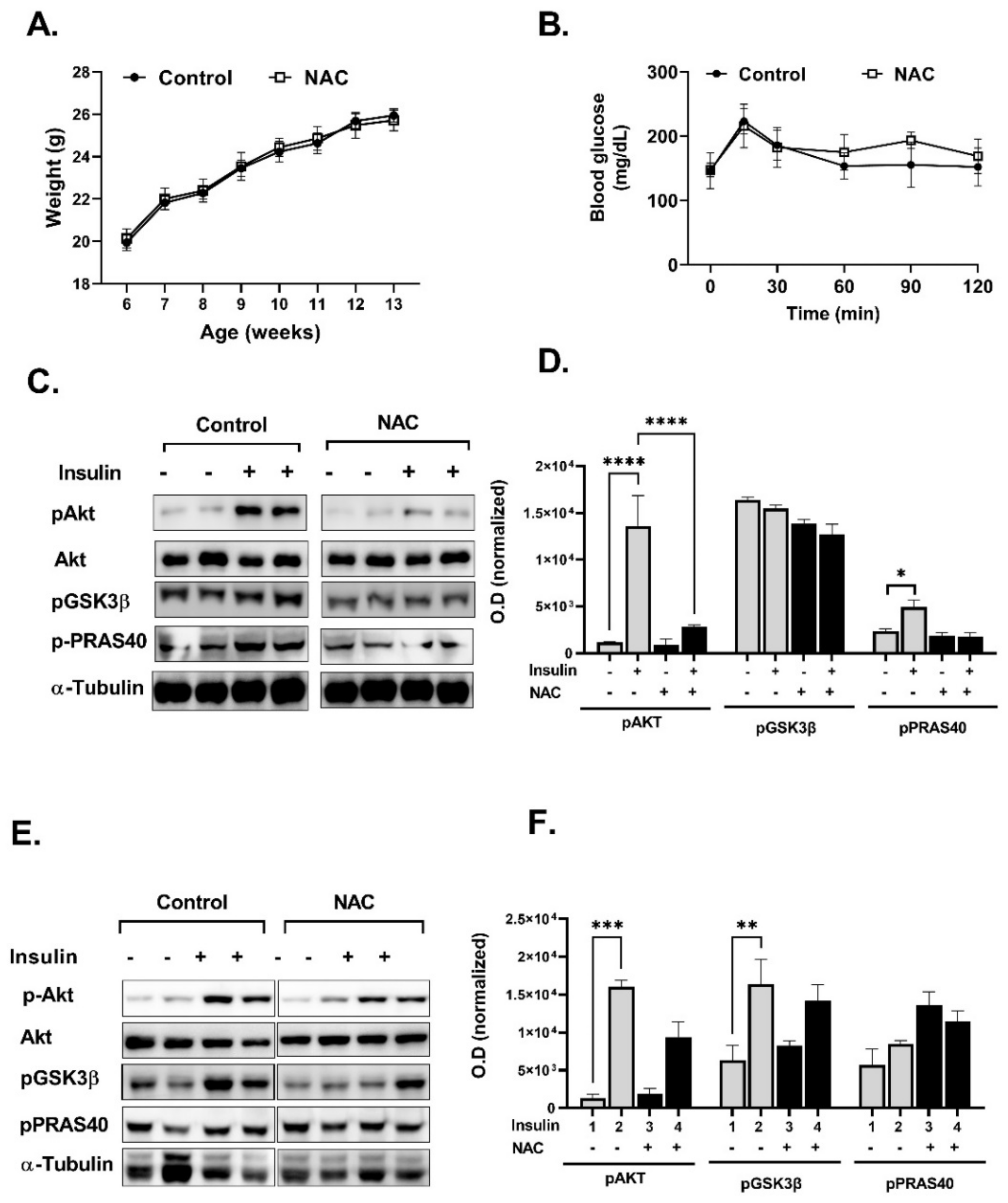 Ijms 23 02965 g009 Ijms 23 02965 g009