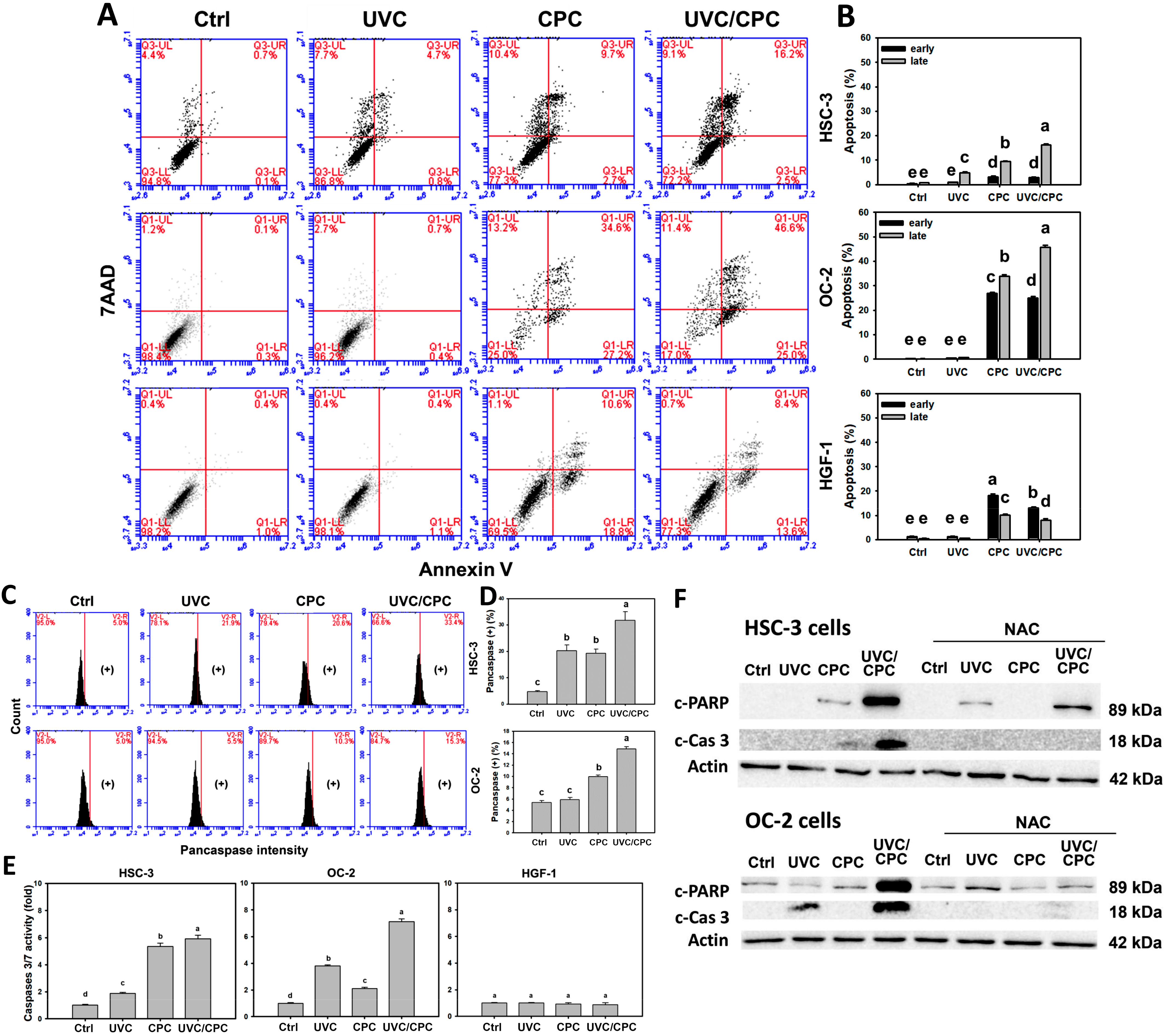 Ijms 23 02981 g005 550