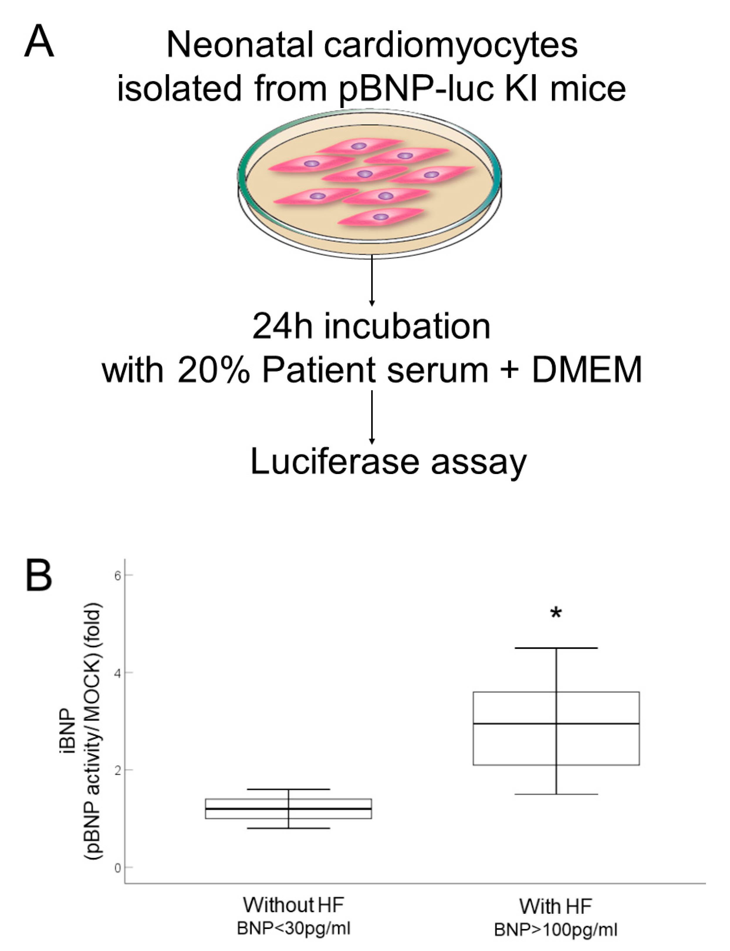 Ijms 23 02991 g003 550