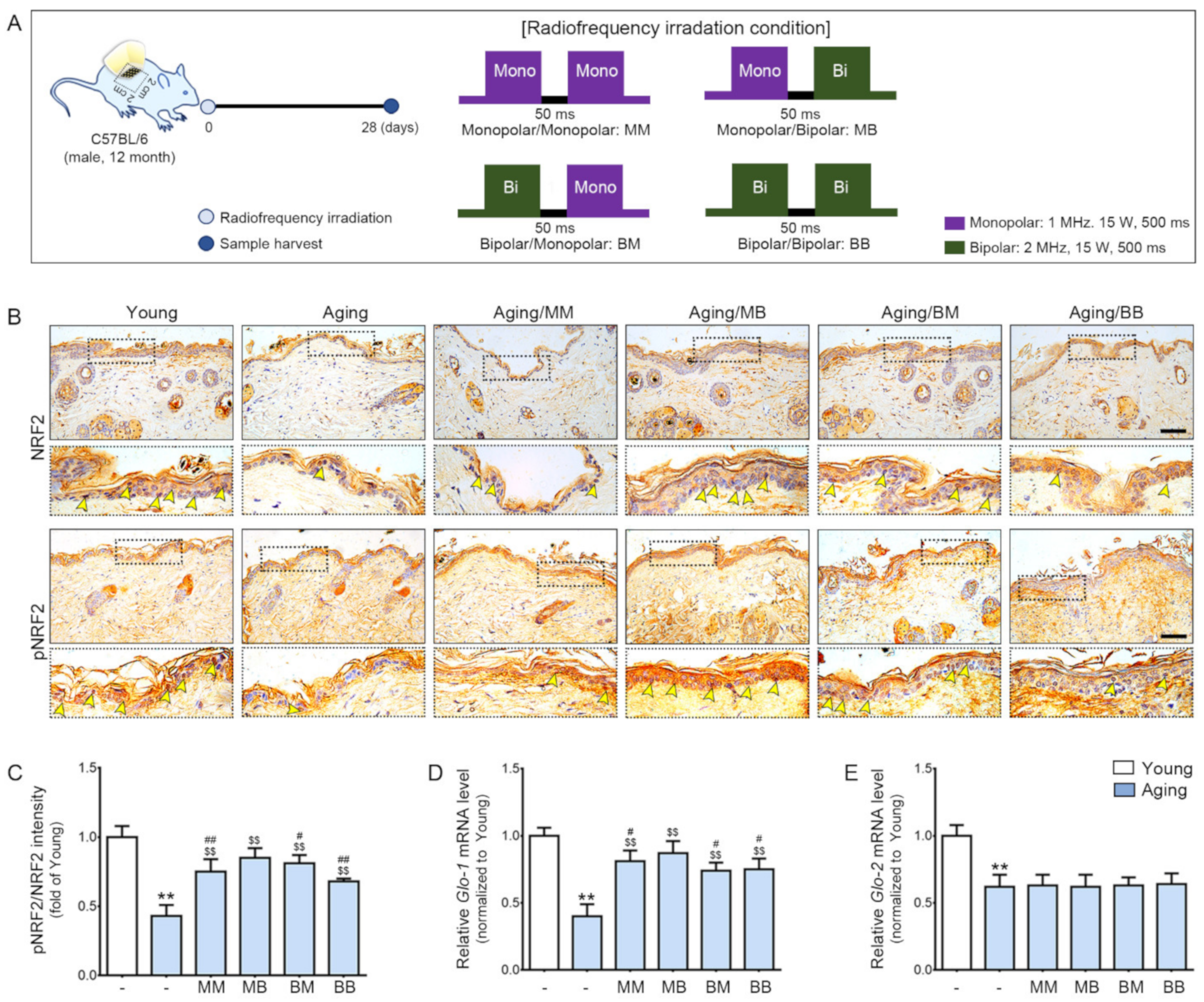 Ijms 23 02993 g001 Ijms 23 02993 g001
