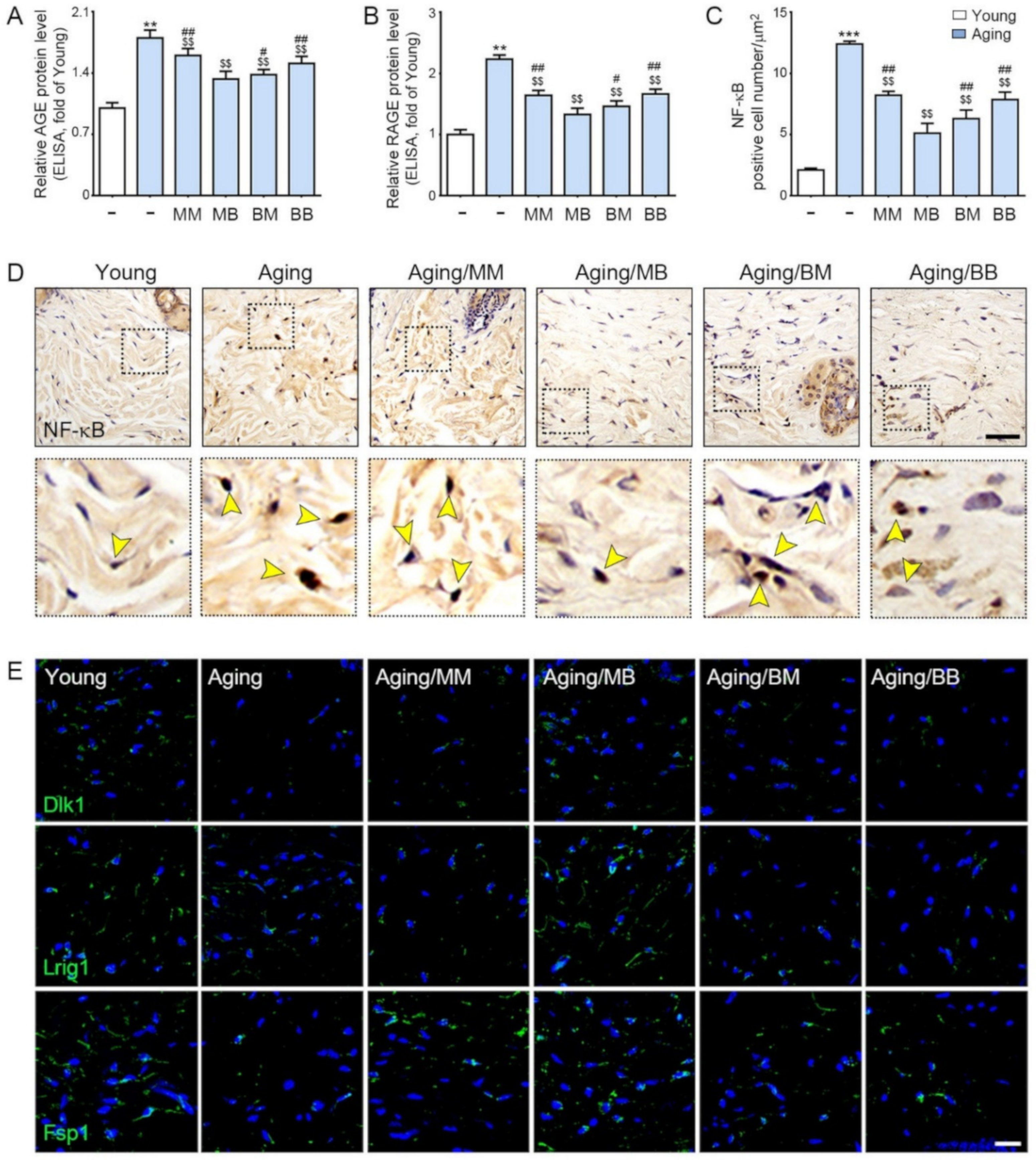 Ijms 23 02993 g003 Ijms 23 02993 g003