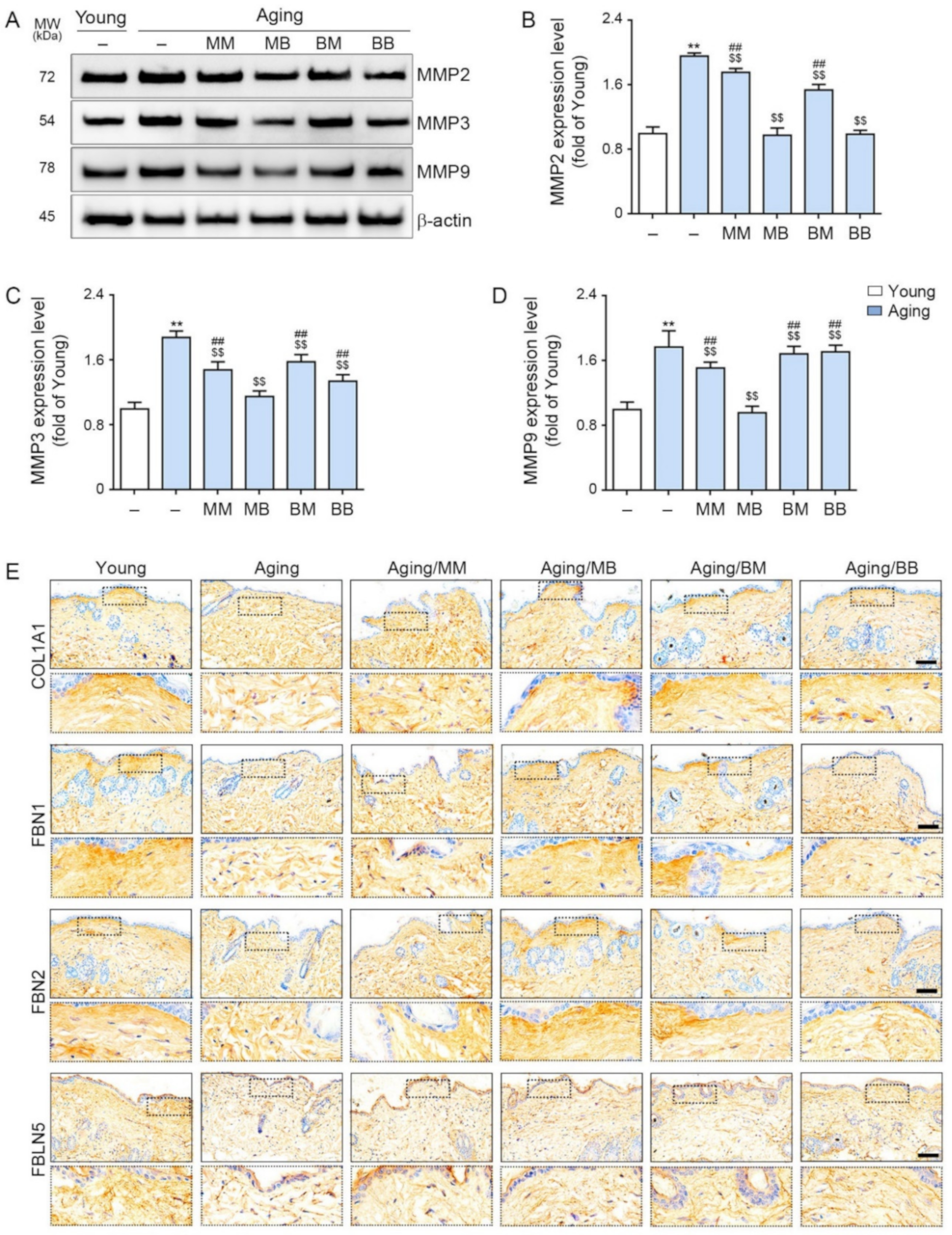 Ijms 23 02993 g004 Ijms 23 02993 g004