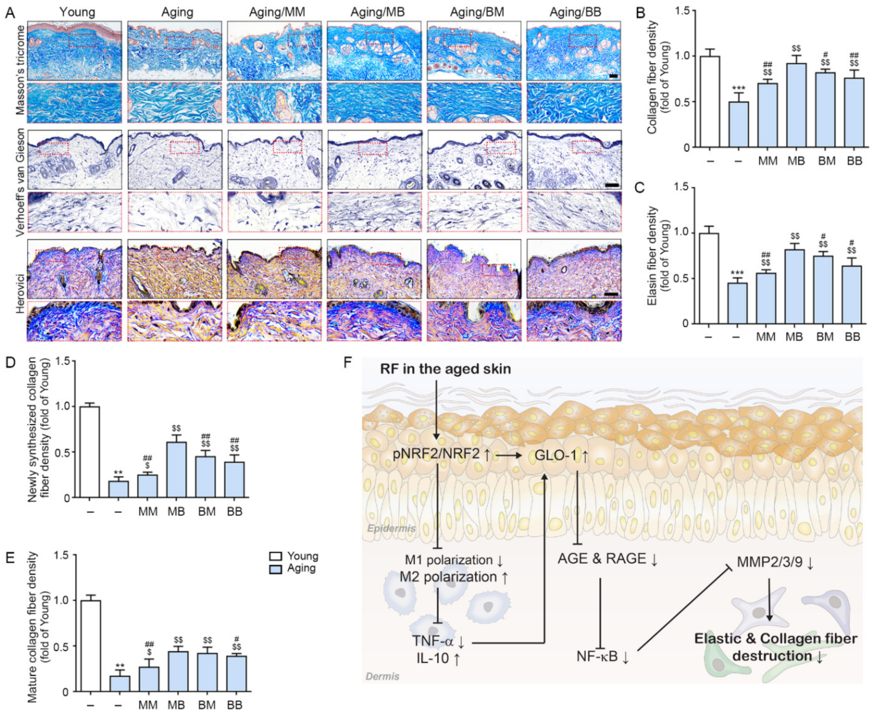 Ijms 23 02993 g005 Ijms 23 02993 g005