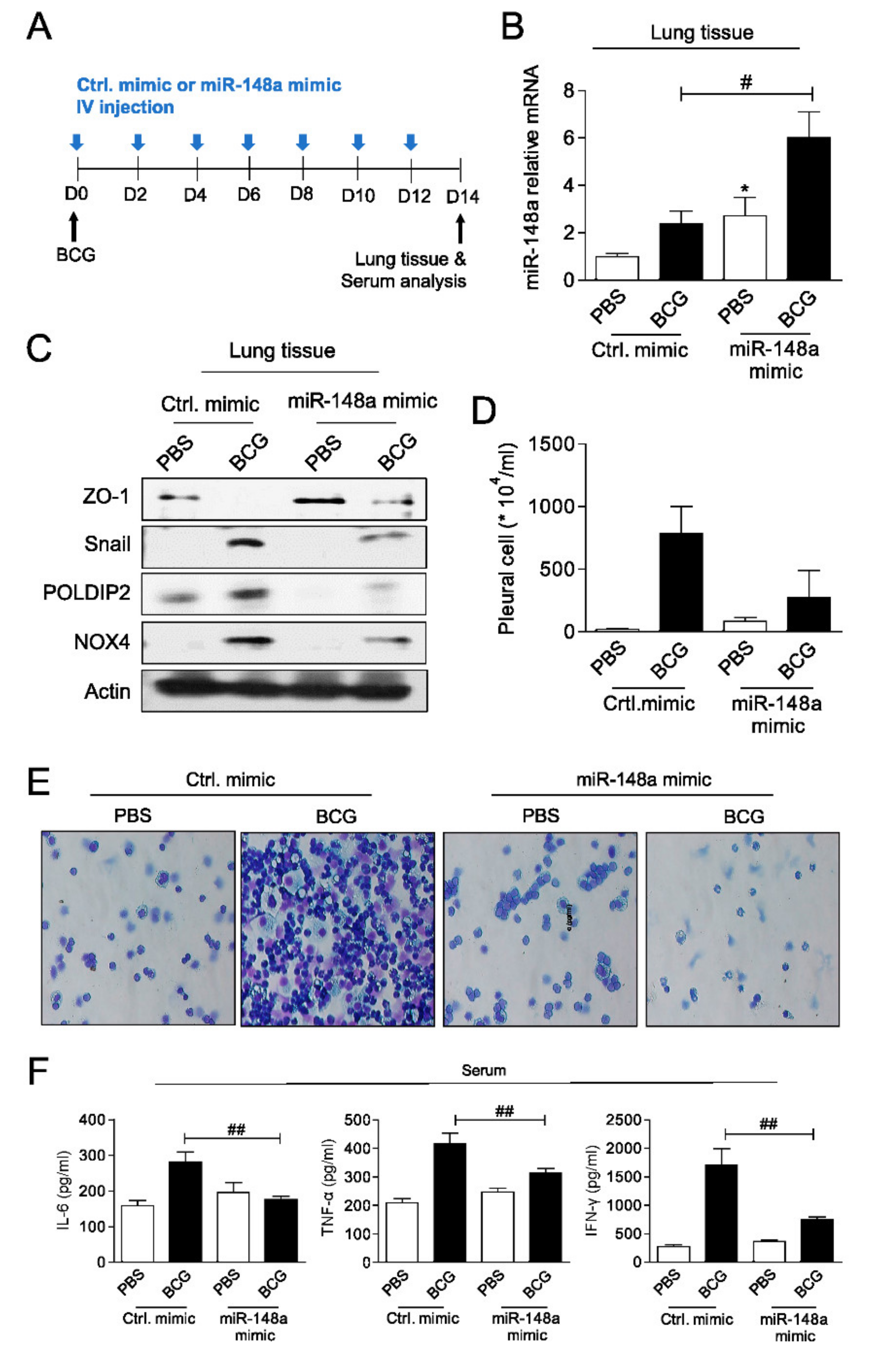 Ijms 23 02999 g005 550
