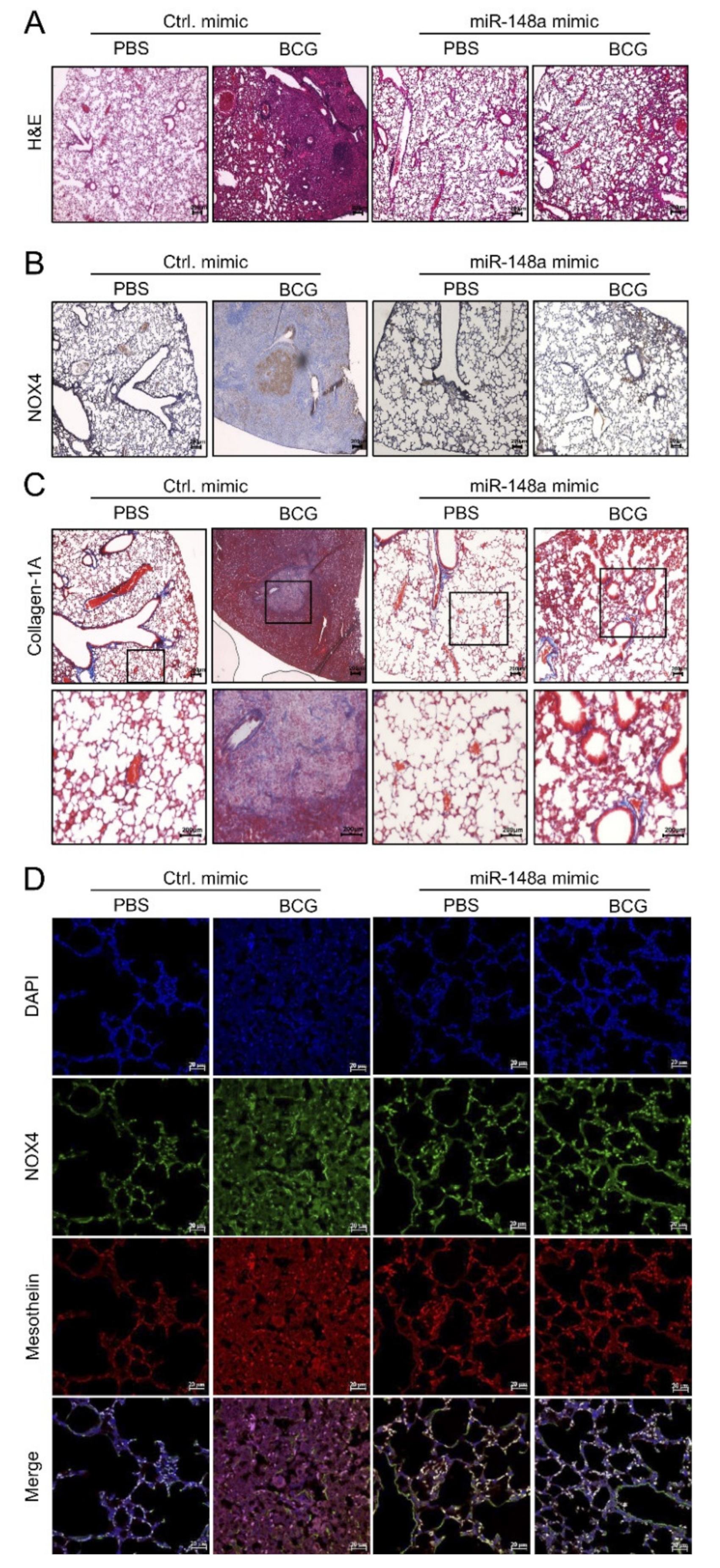 Ijms 23 02999 g006 550