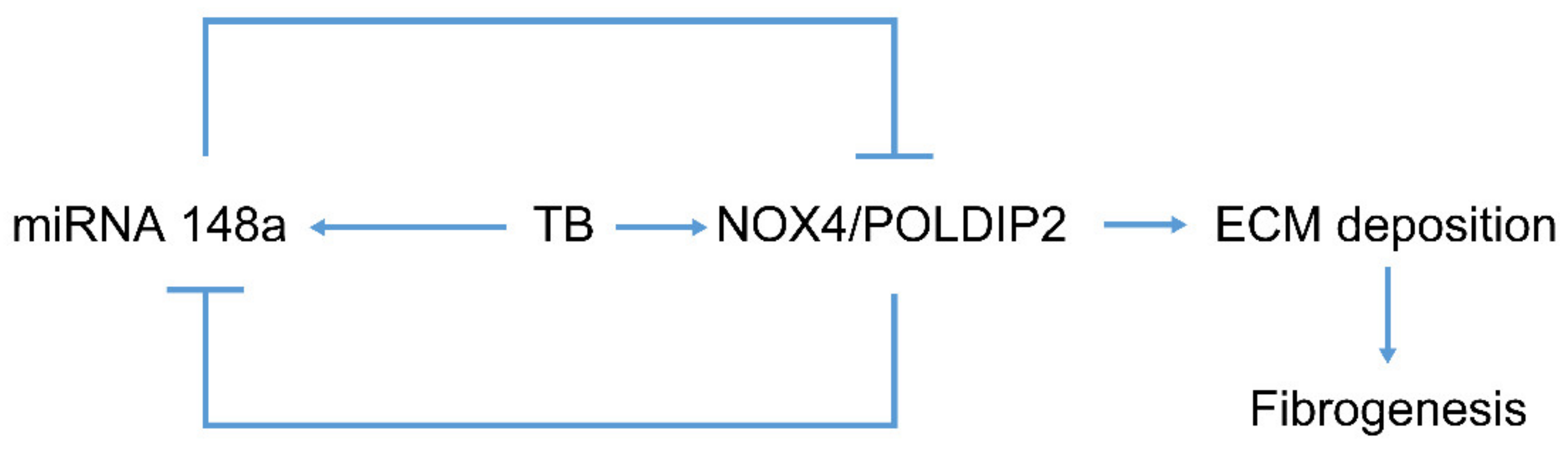 Ijms 23 02999 g007 550