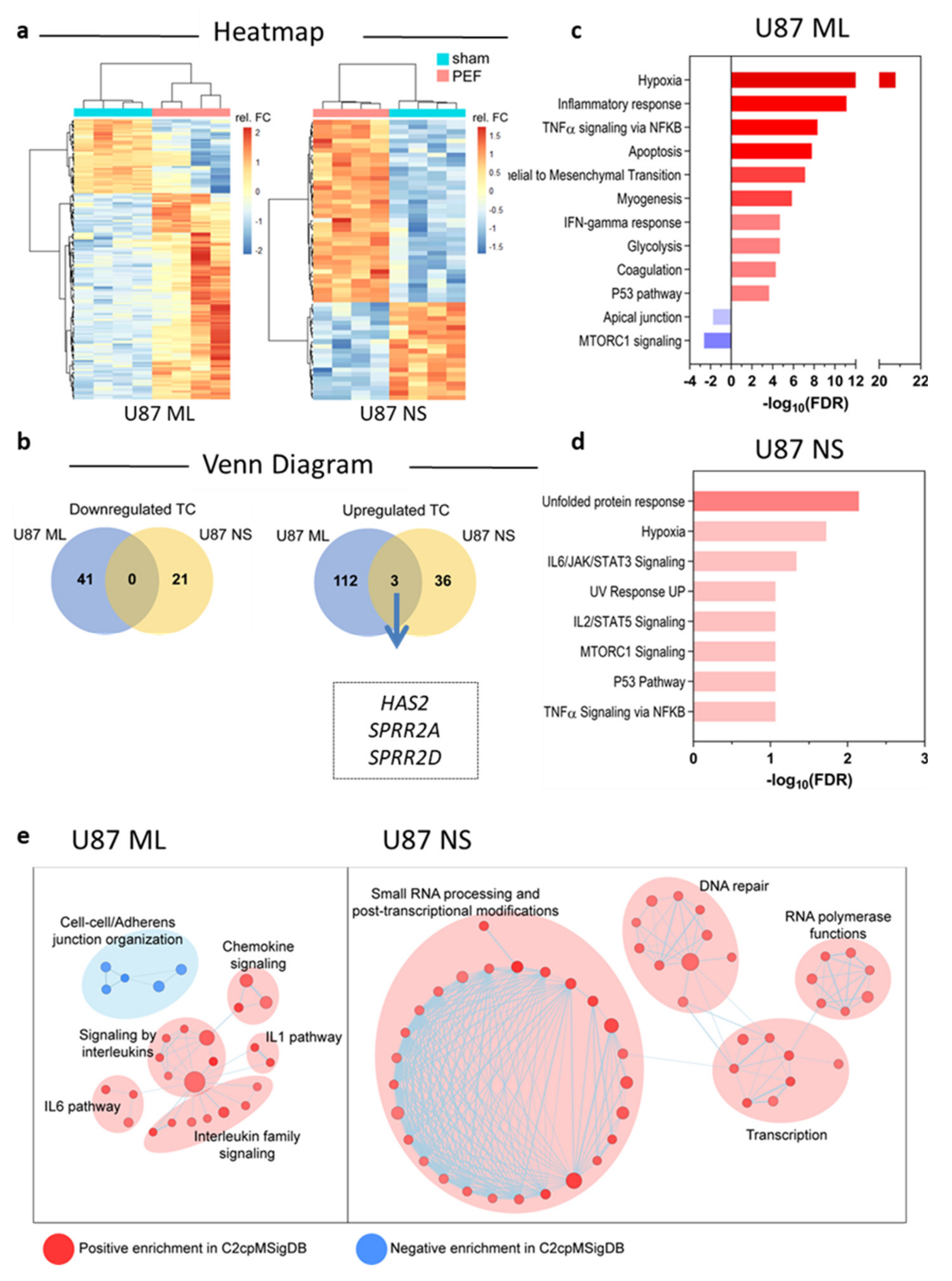 Ijms 23 03001 g003 550