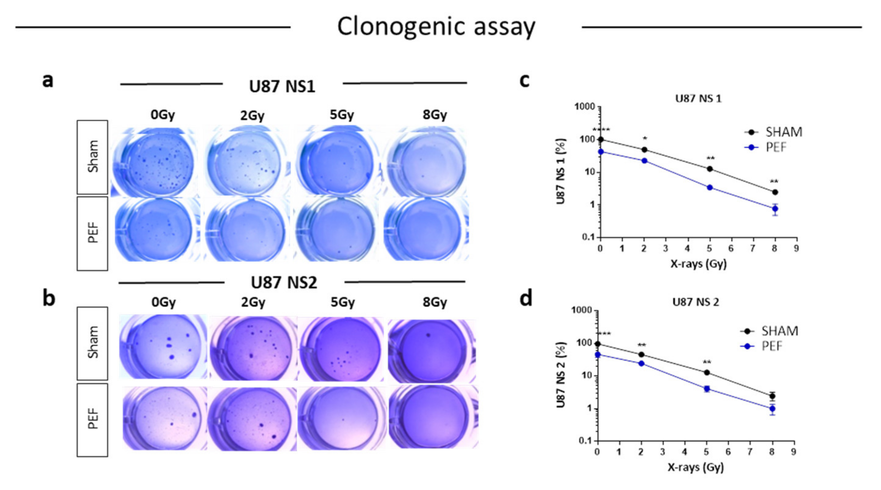 Ijms 23 03001 g005 550
