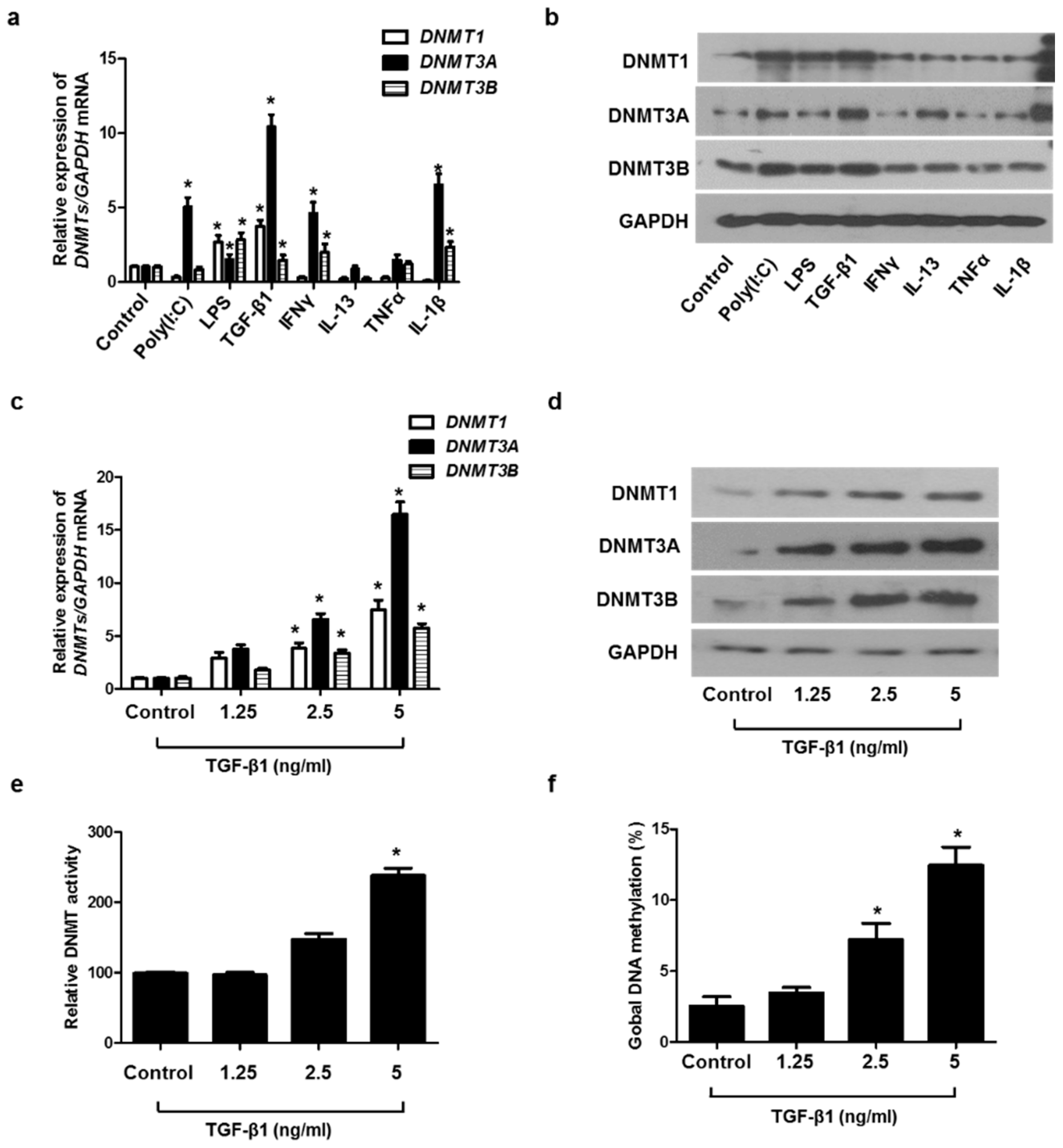 Ijms 23 03003 g002 550