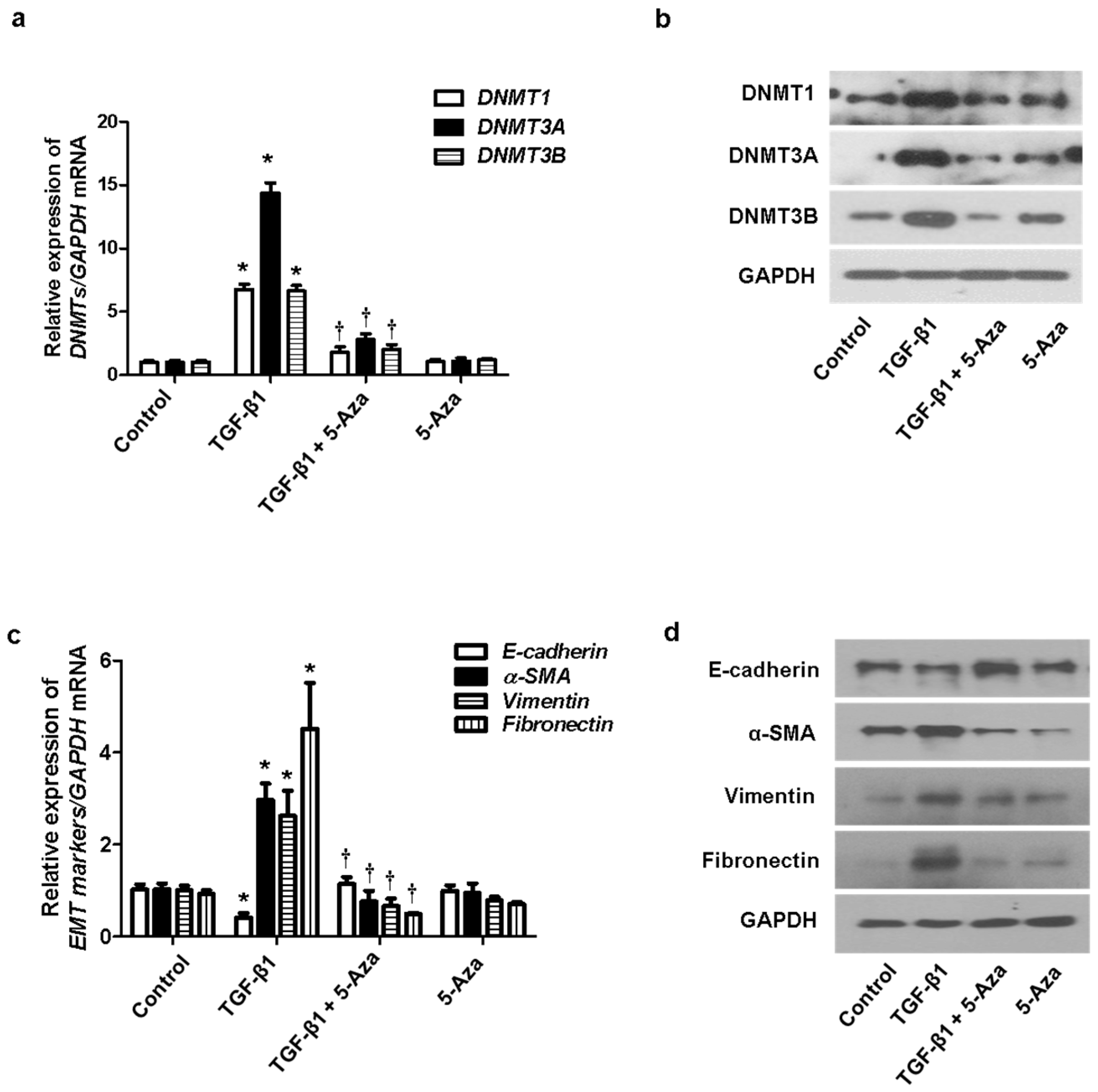 Ijms 23 03003 g003 550