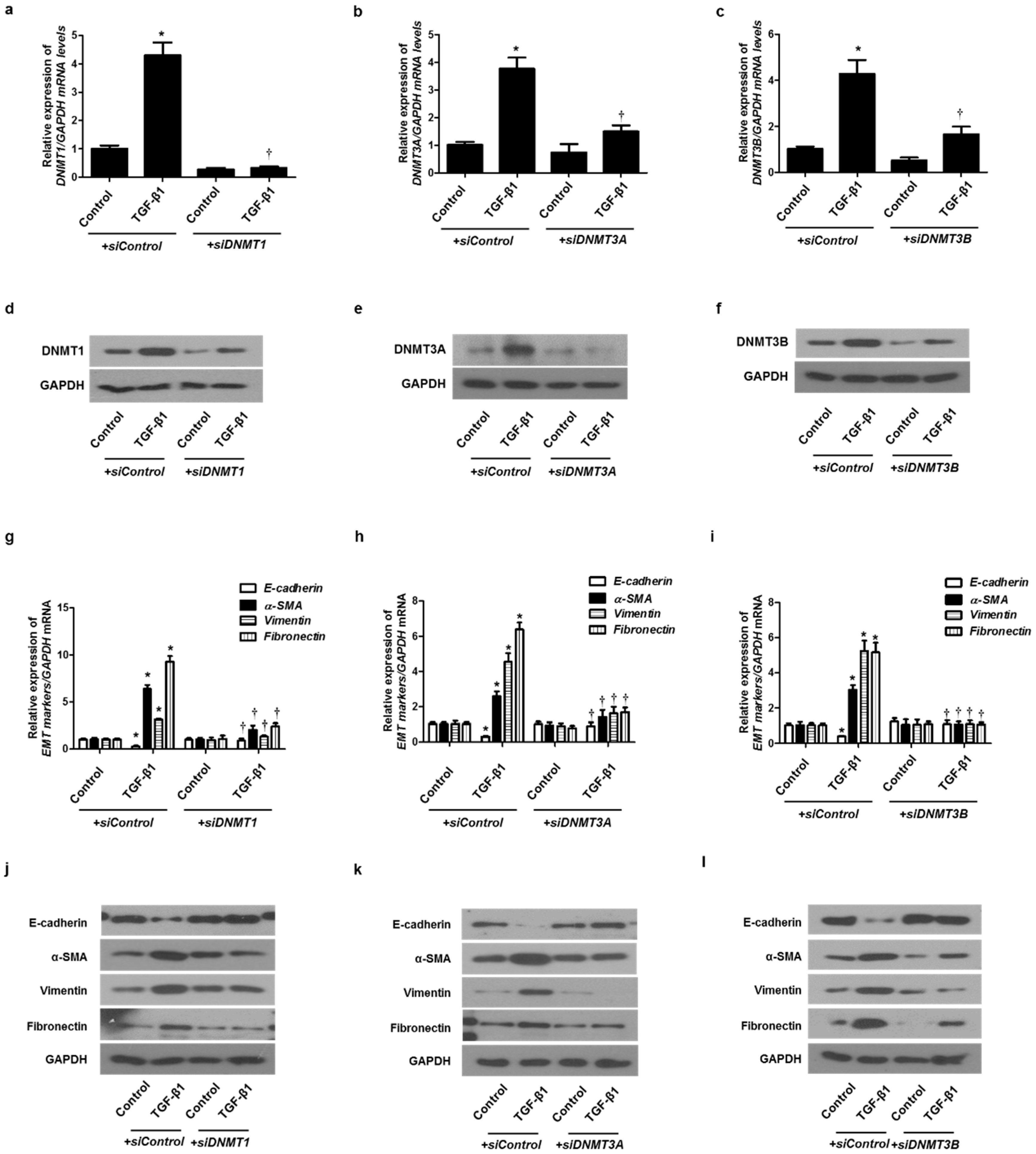 Ijms 23 03003 g004 550