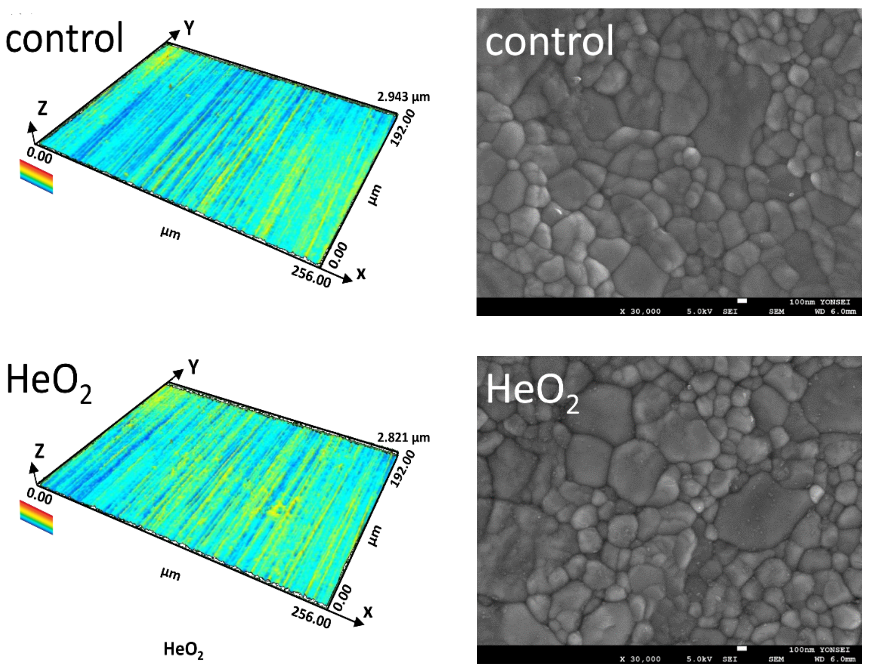 Ijms 23 03007 g005a 550