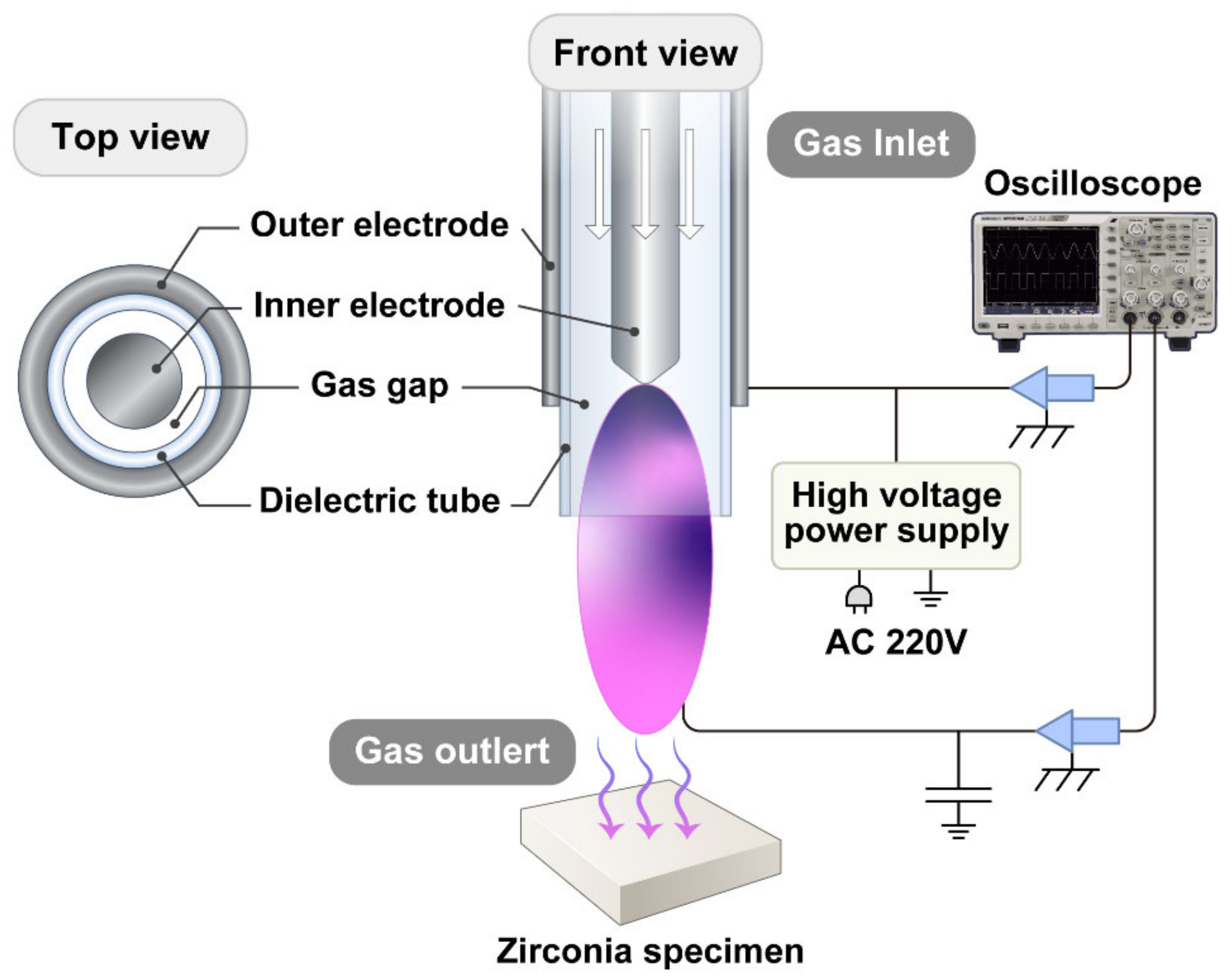 Ijms 23 03007 g007 550