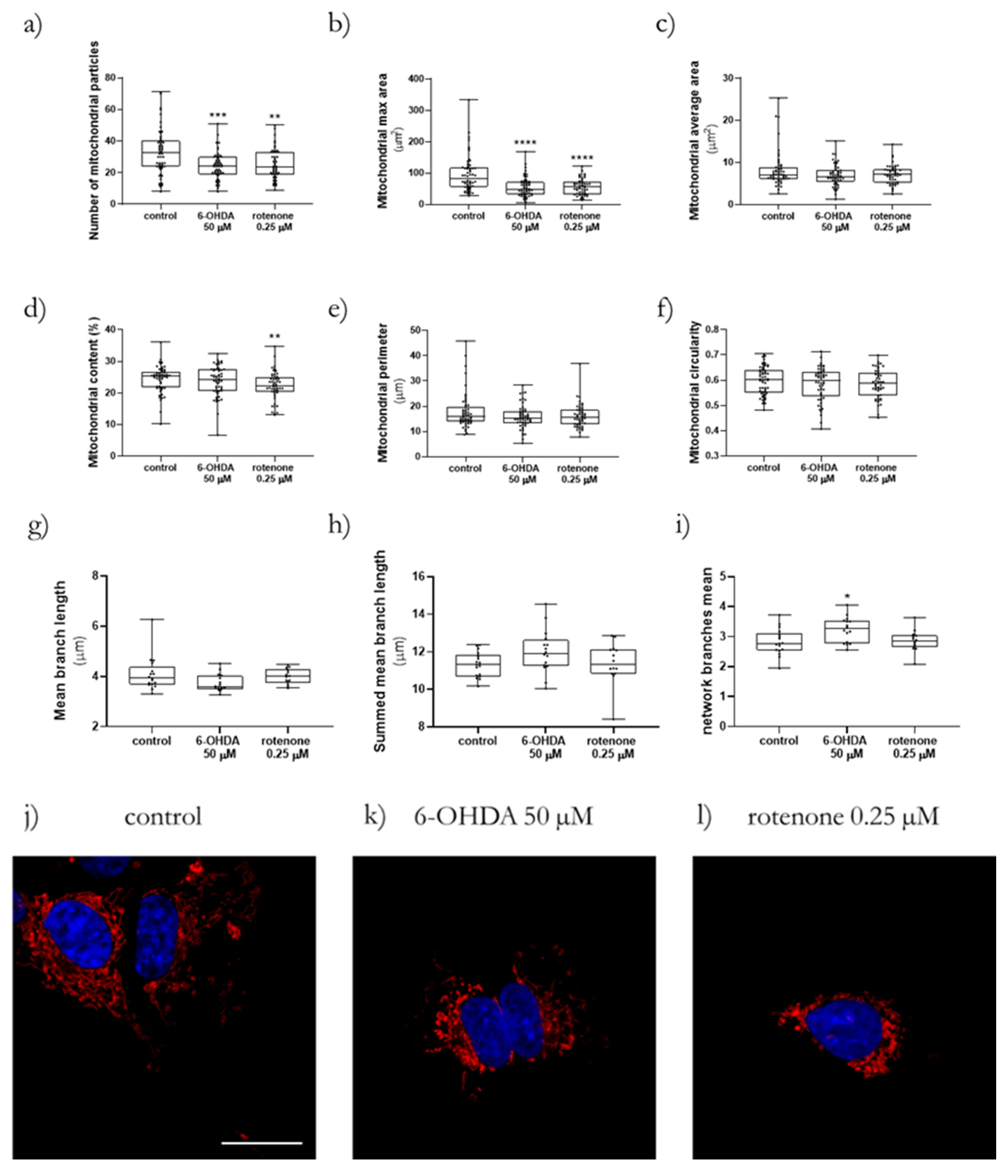 Ijms 23 03009 g004 550