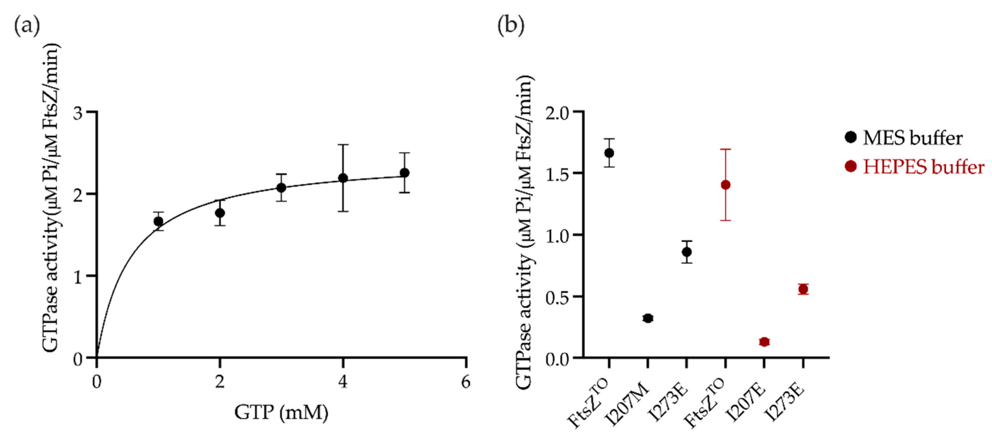 Ijms 23 03016 g004 550