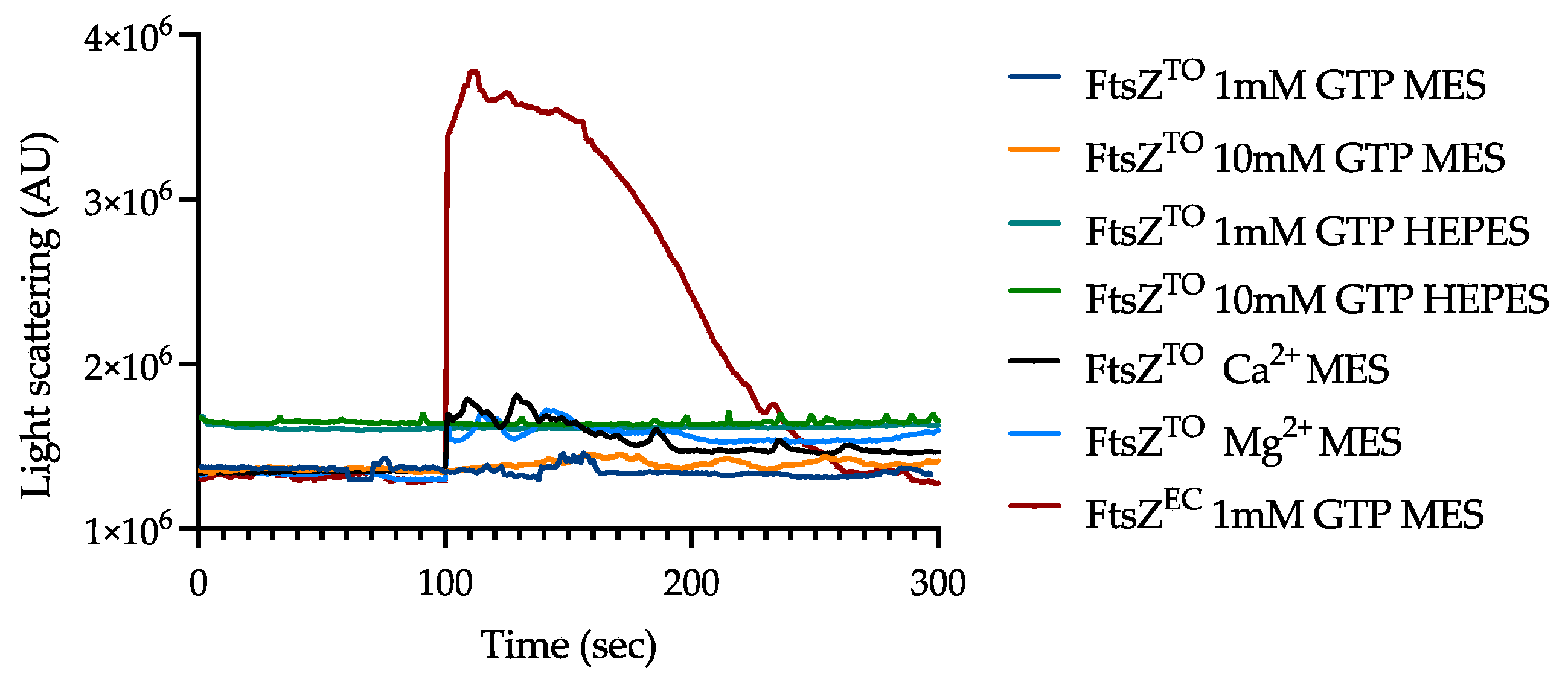 Ijms 23 03016 g005 550