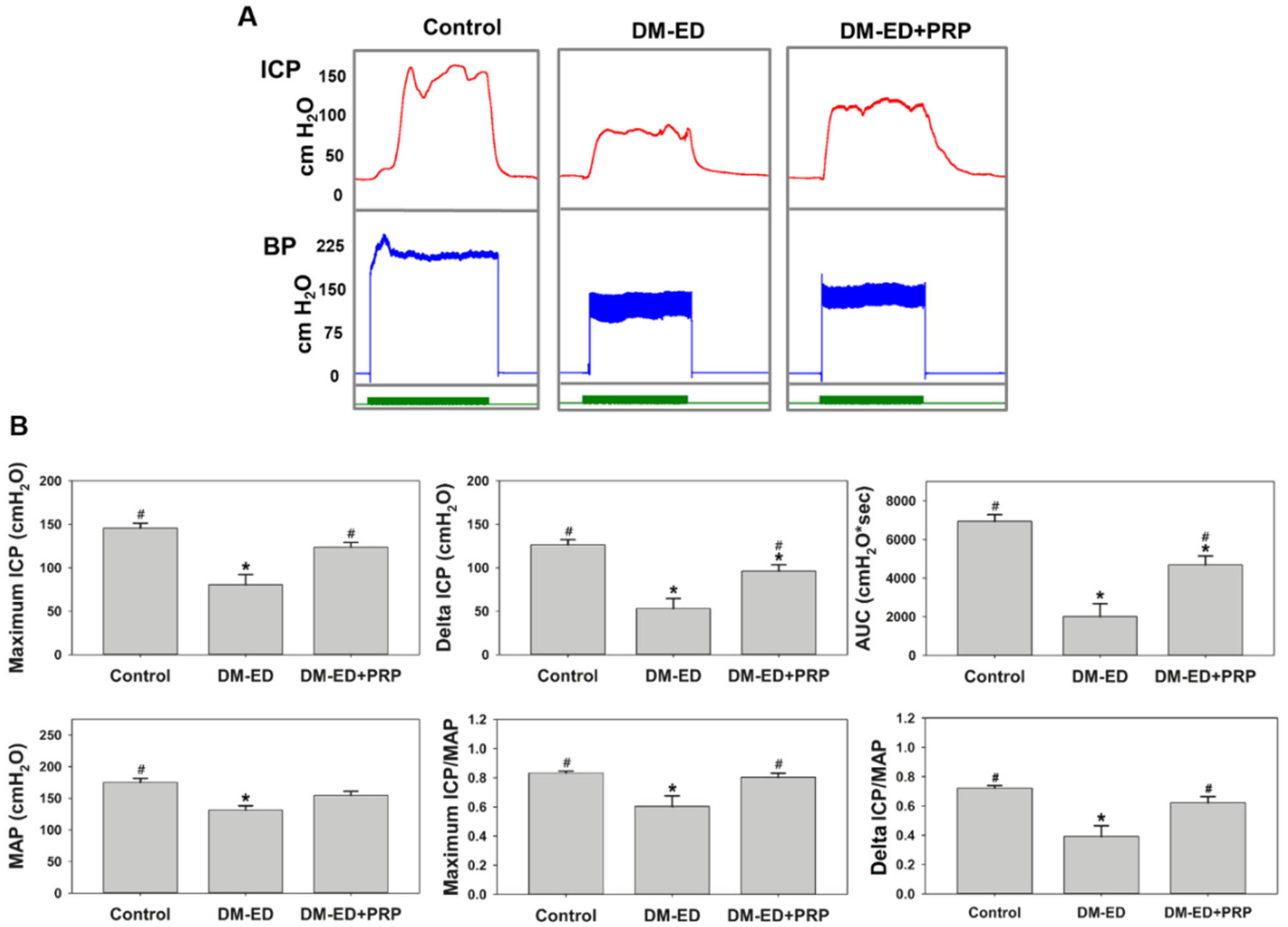 Ijms 23 03017 g004 Ijms 23 03017 g004