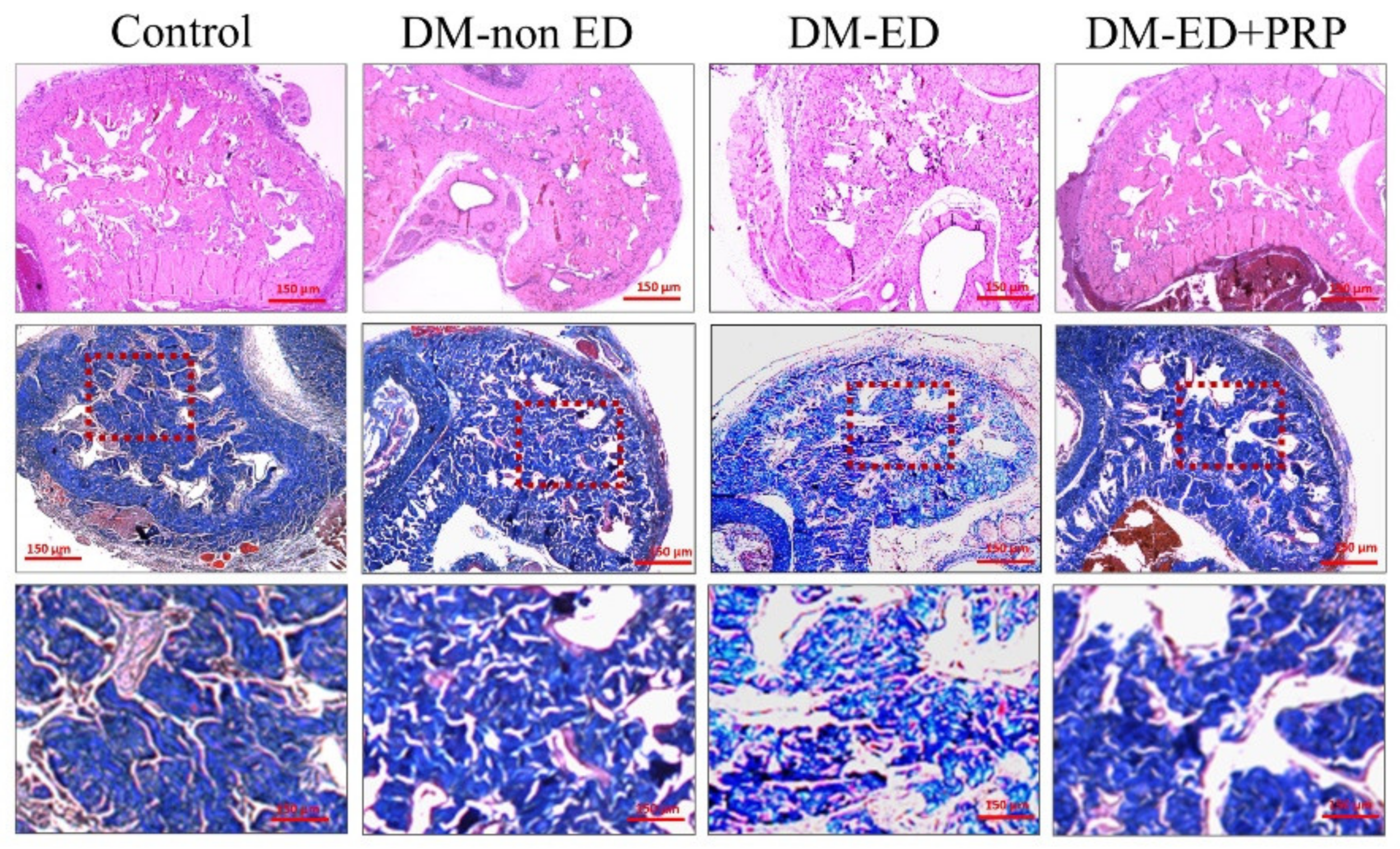 Ijms 23 03017 g006 Ijms 23 03017 g006