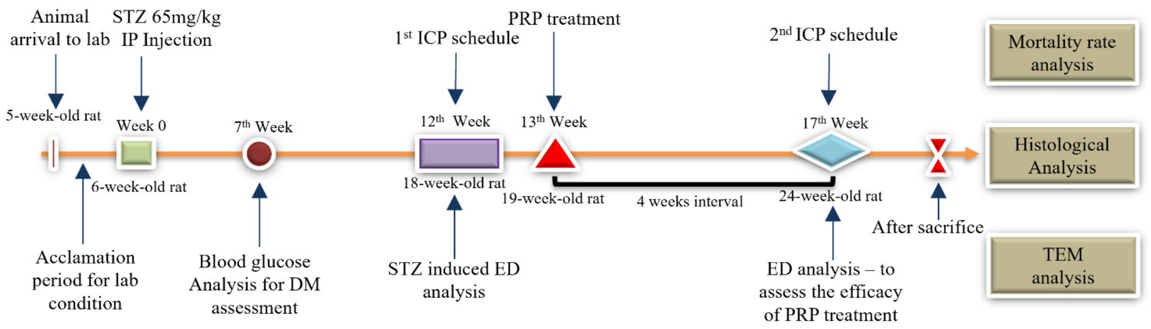 Ijms 23 03017 g010 Ijms 23 03017 g010