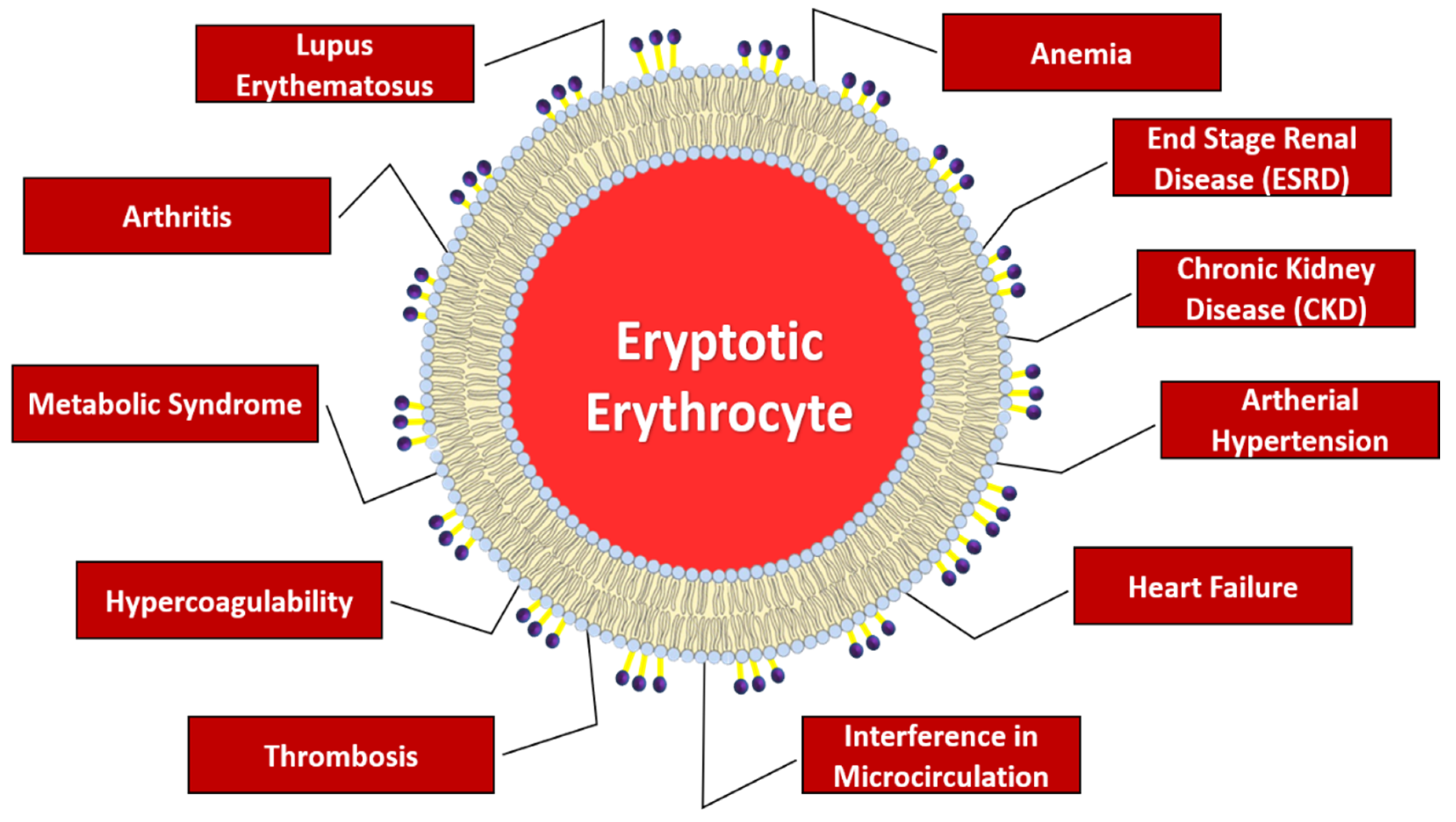 Ijms 23 03019 g002 550