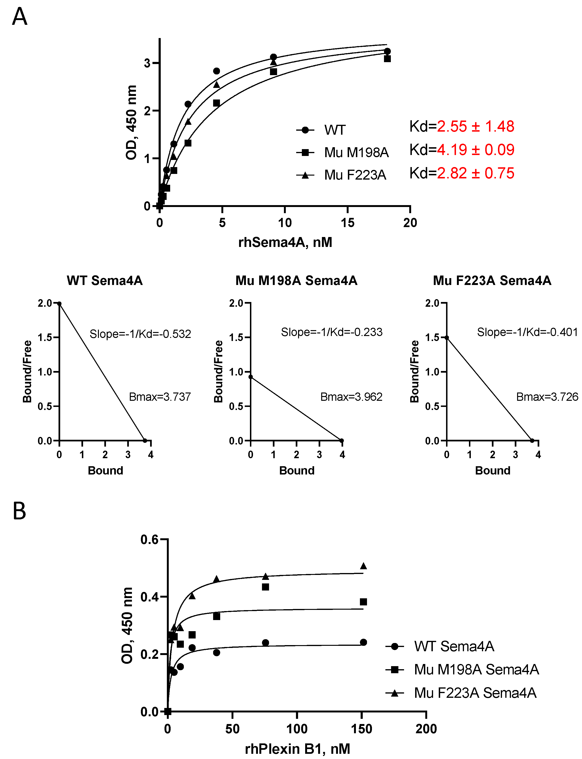 Ijms 23 03024 g007 550