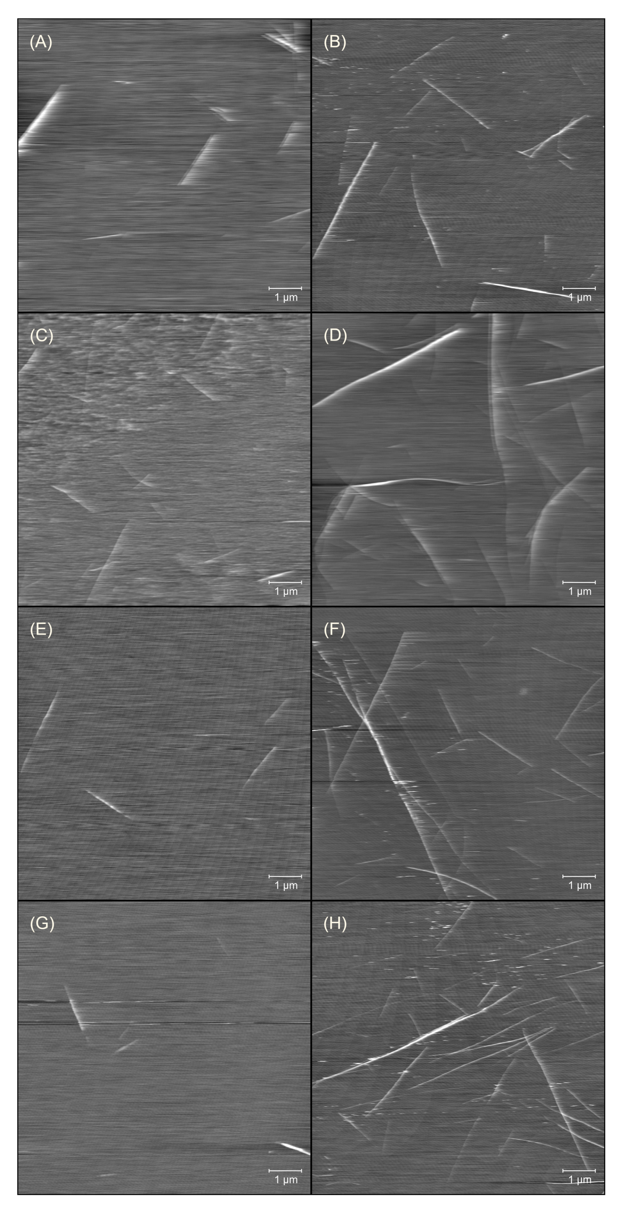 Ijms 23 03027 g002 550